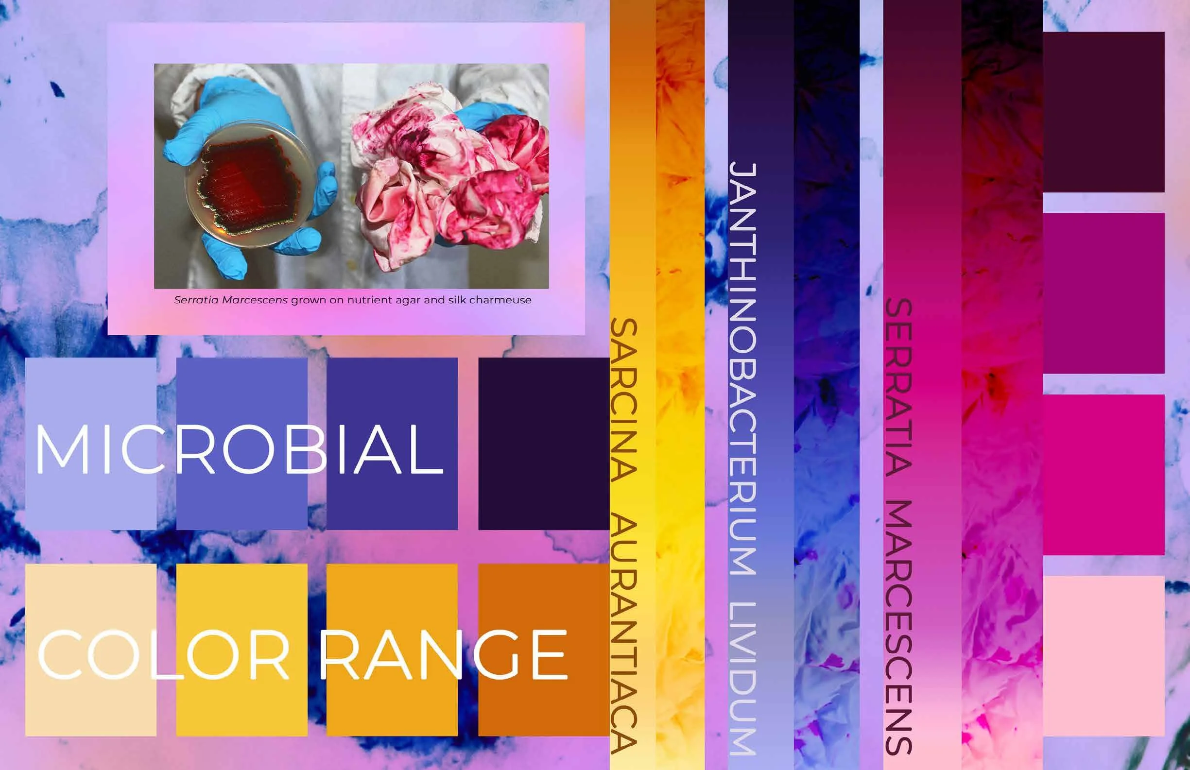 ivh portfolio doc3_Page_26.jpg