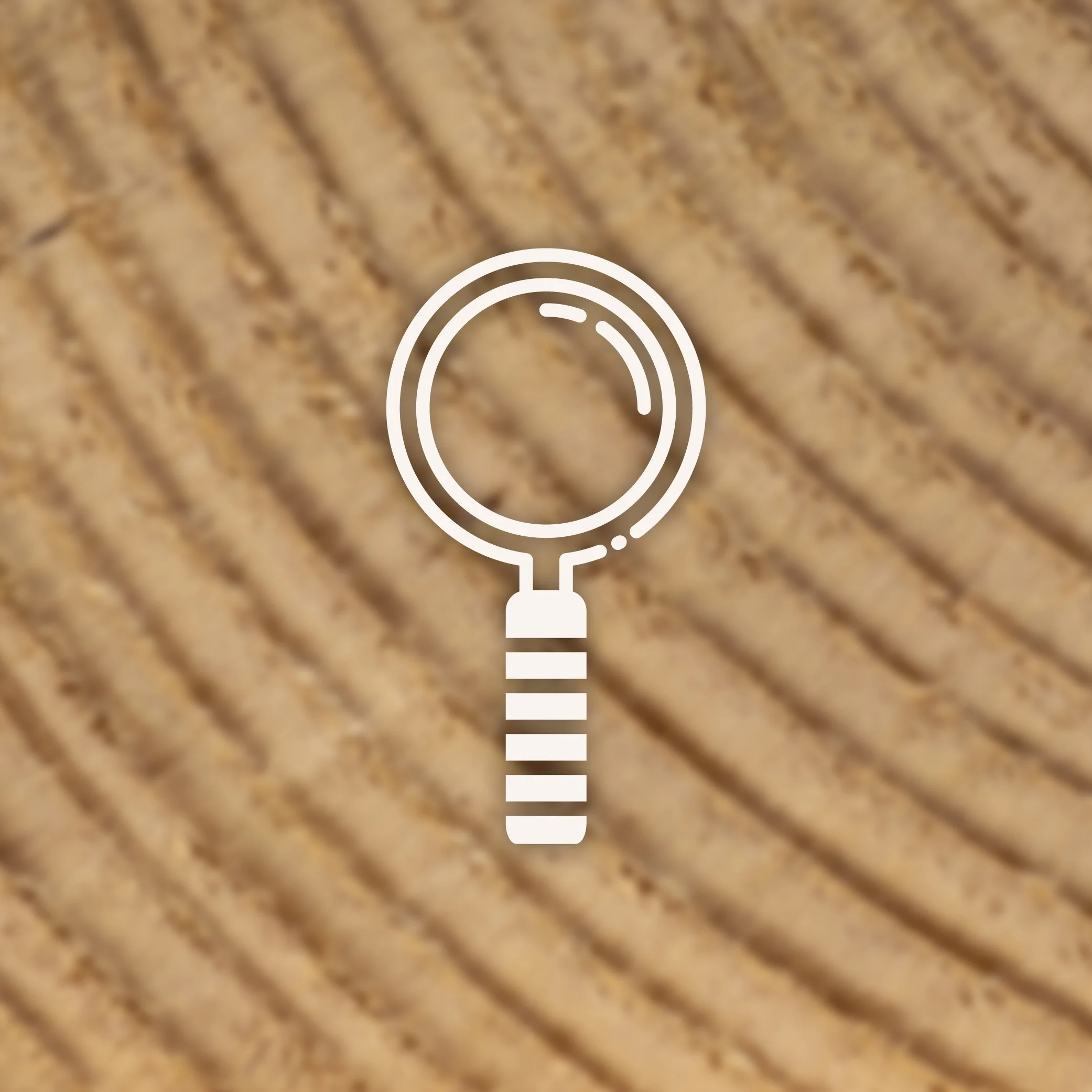 Focus Classes Case Study