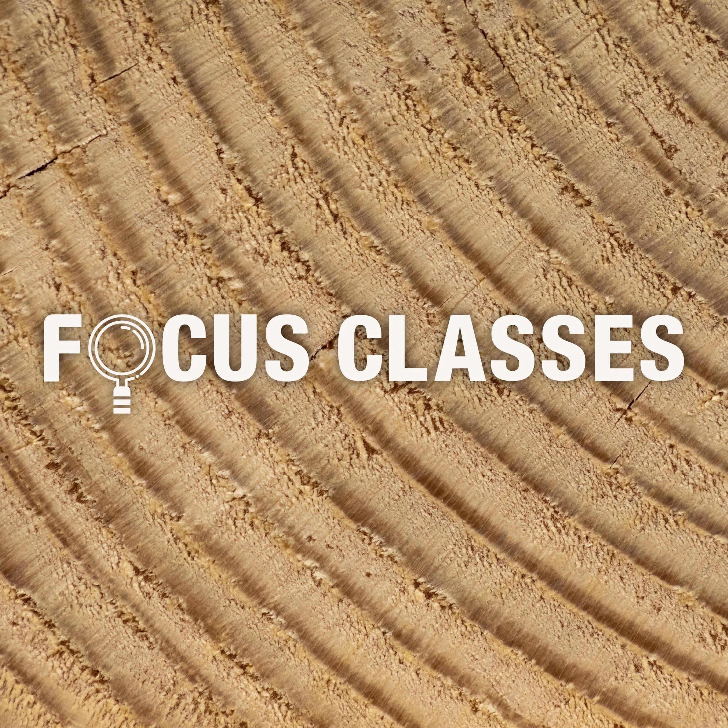 Focus Classes