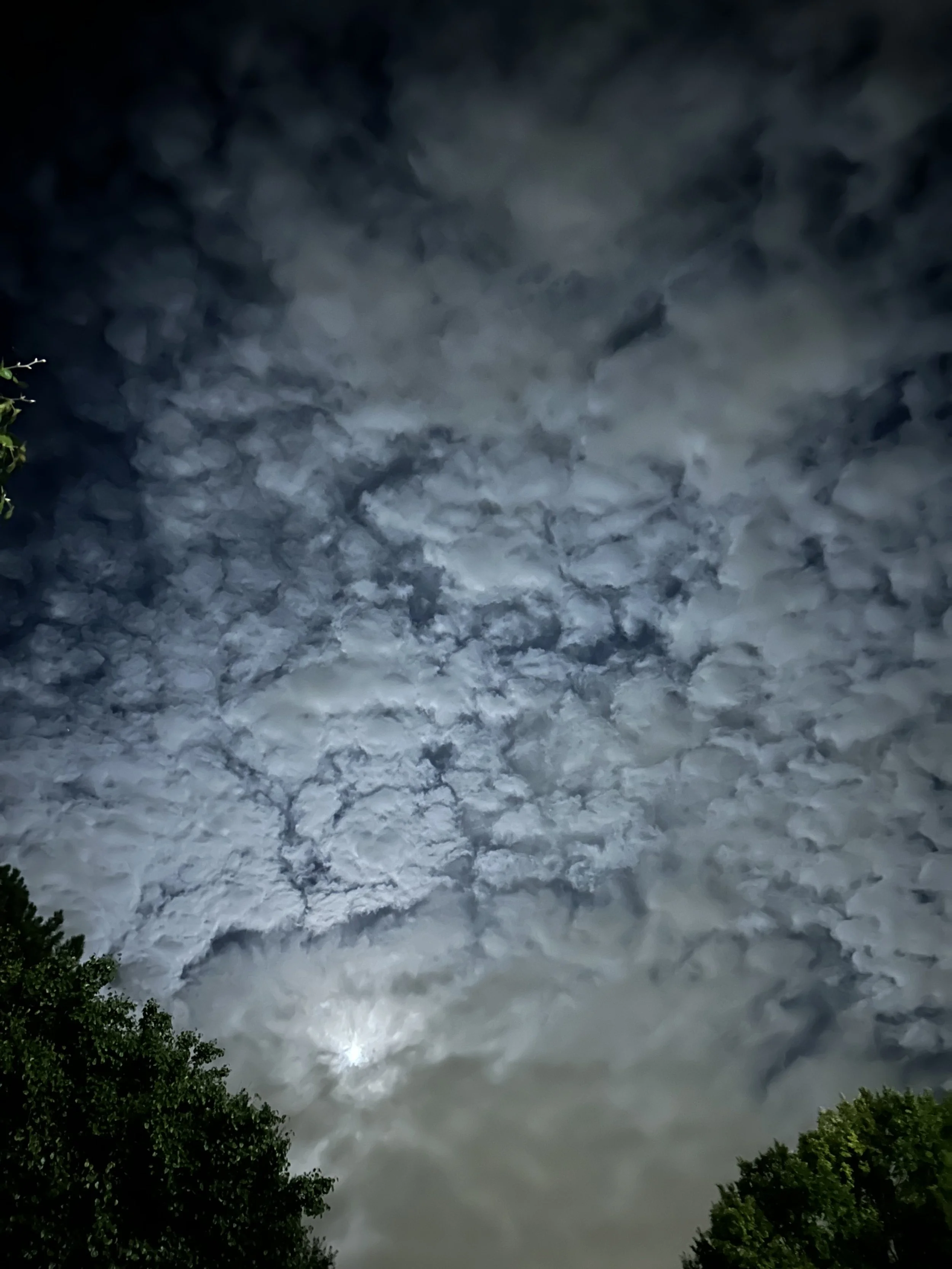 Follow the Cloud