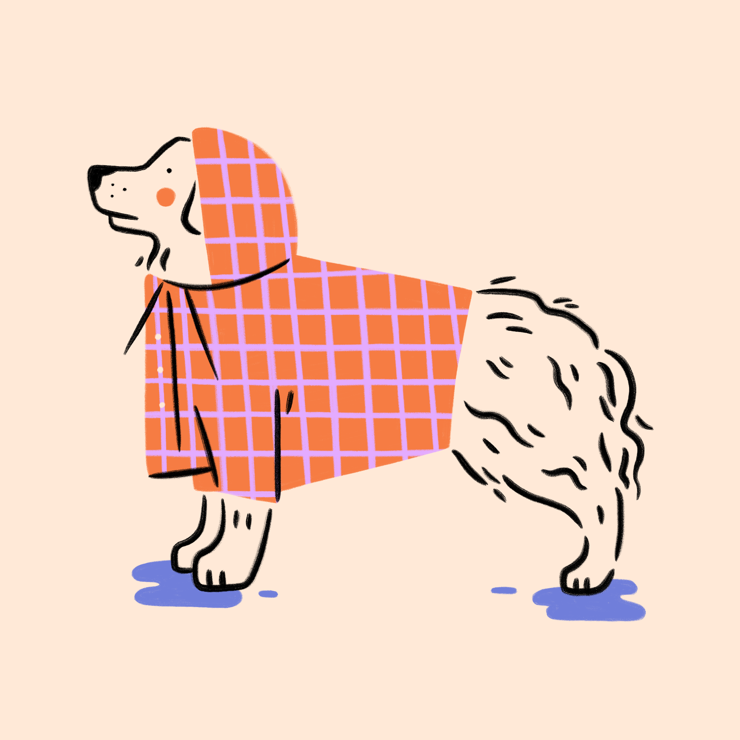 raincoat-pup.png