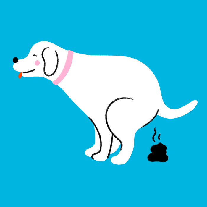 Custom Pet Print