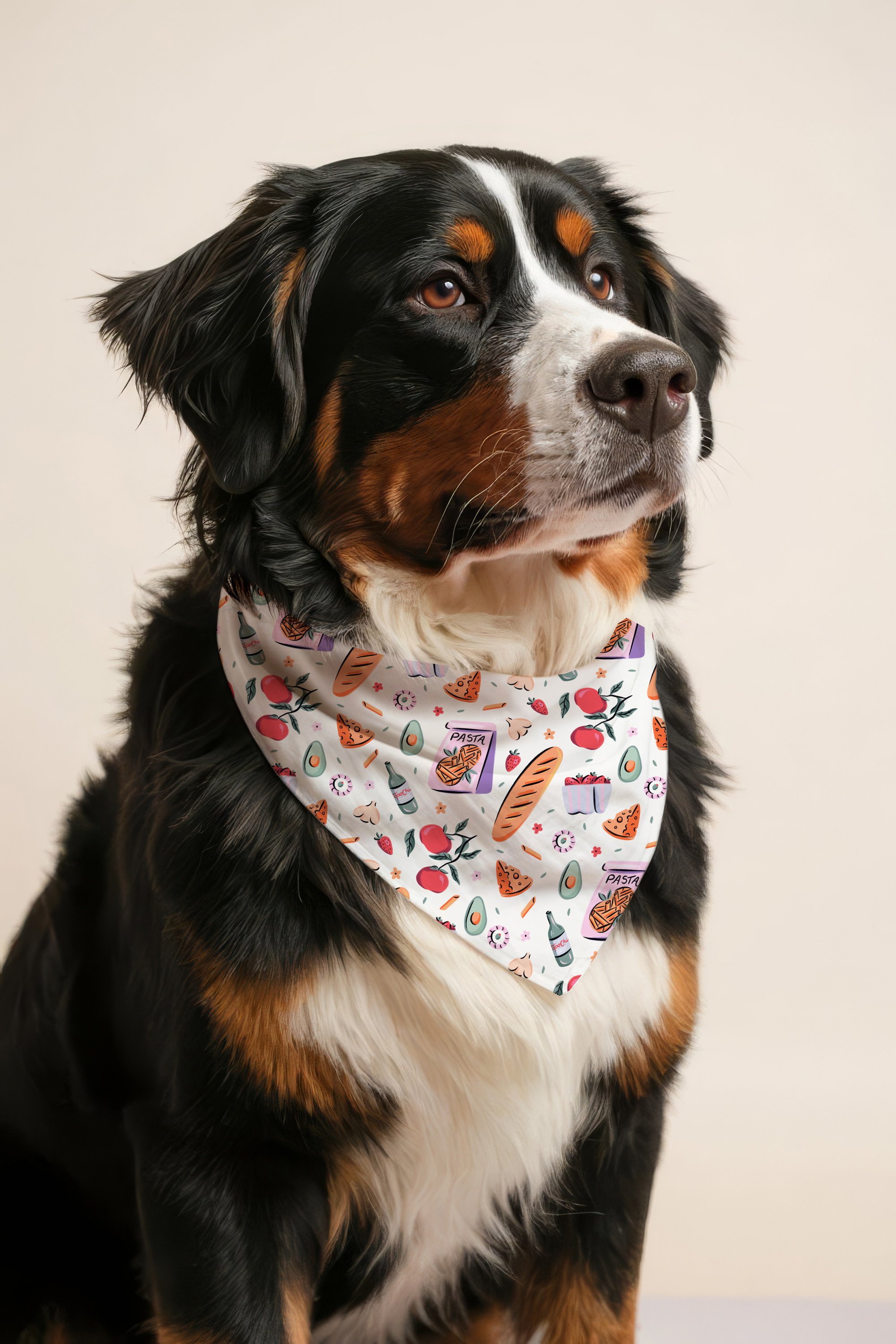 Chacutie Pet Bandana