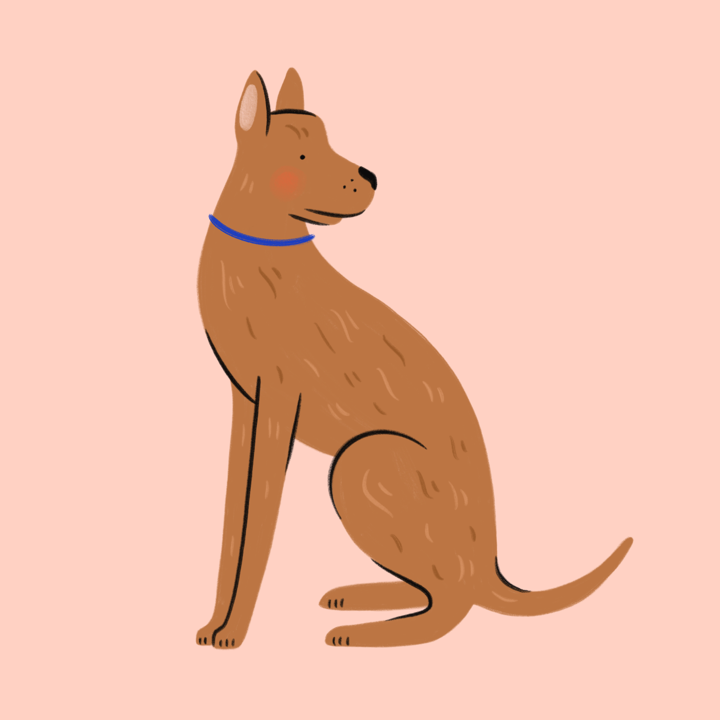 foggy-dog-2.png