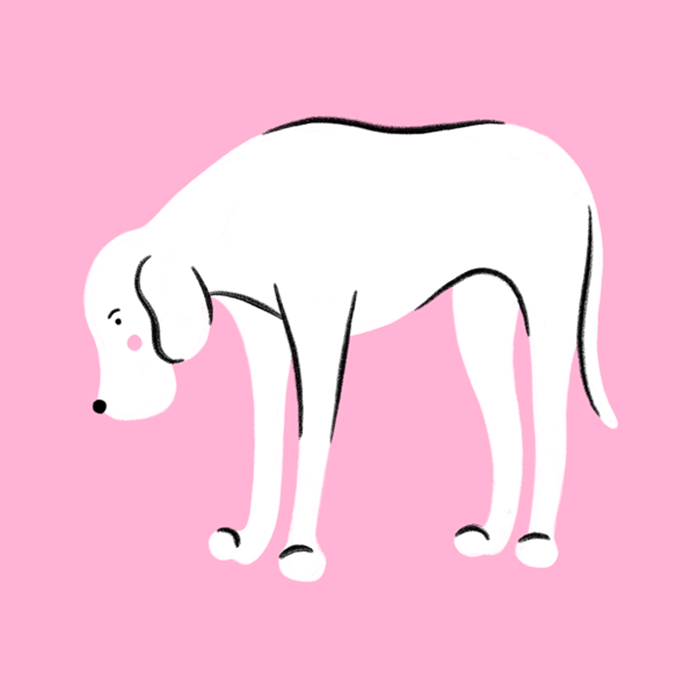 26.png