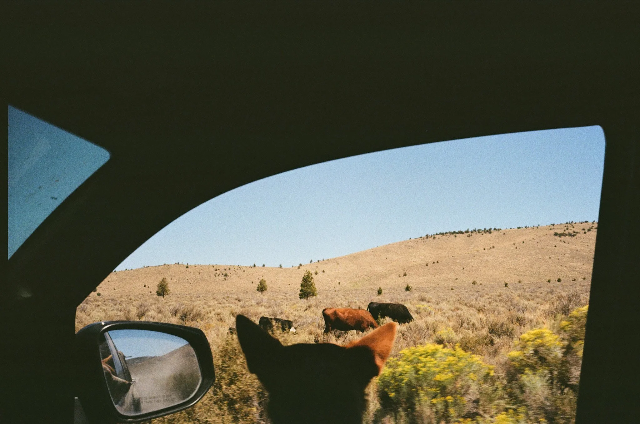 000427660008.jpeg