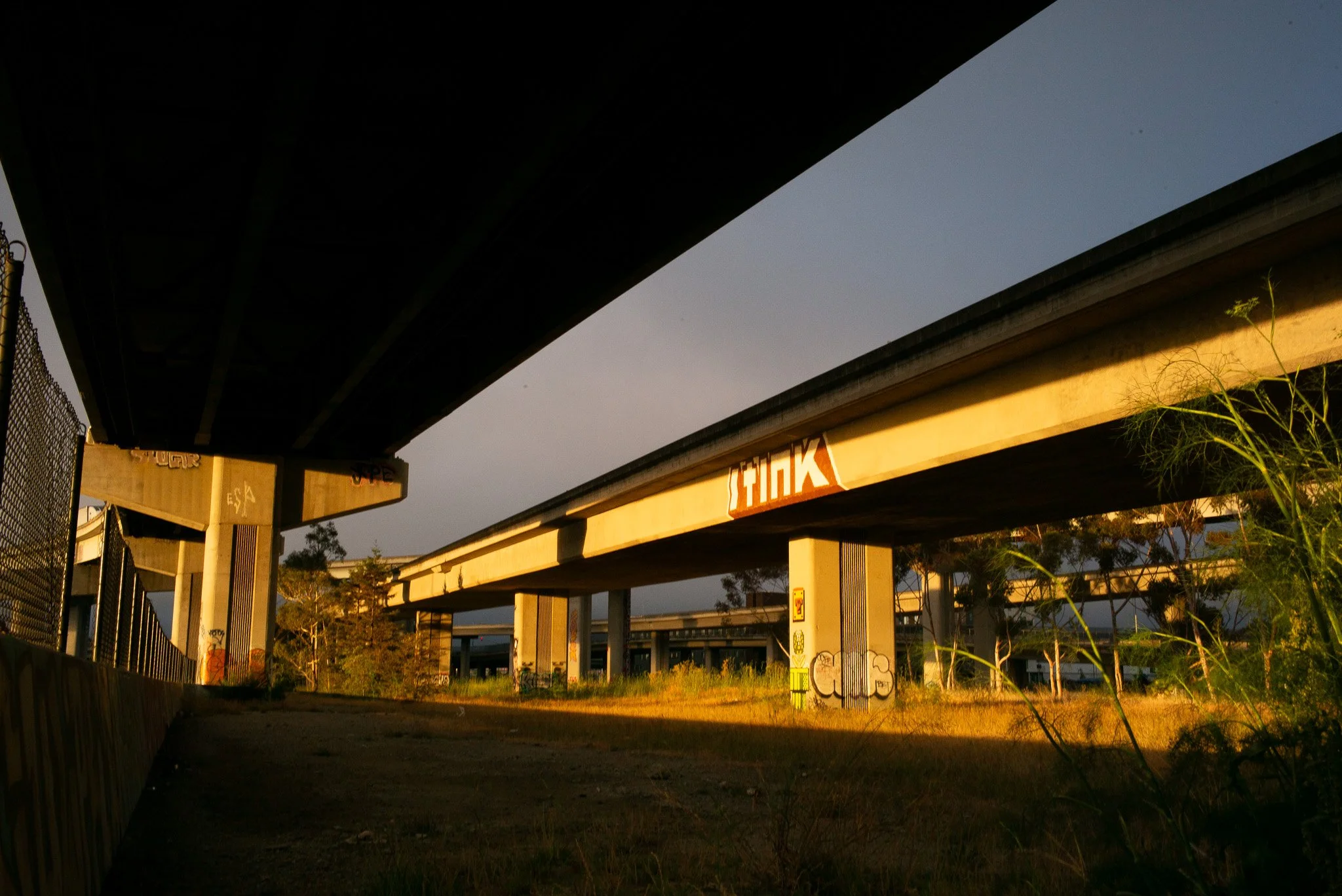 L1000854.jpg