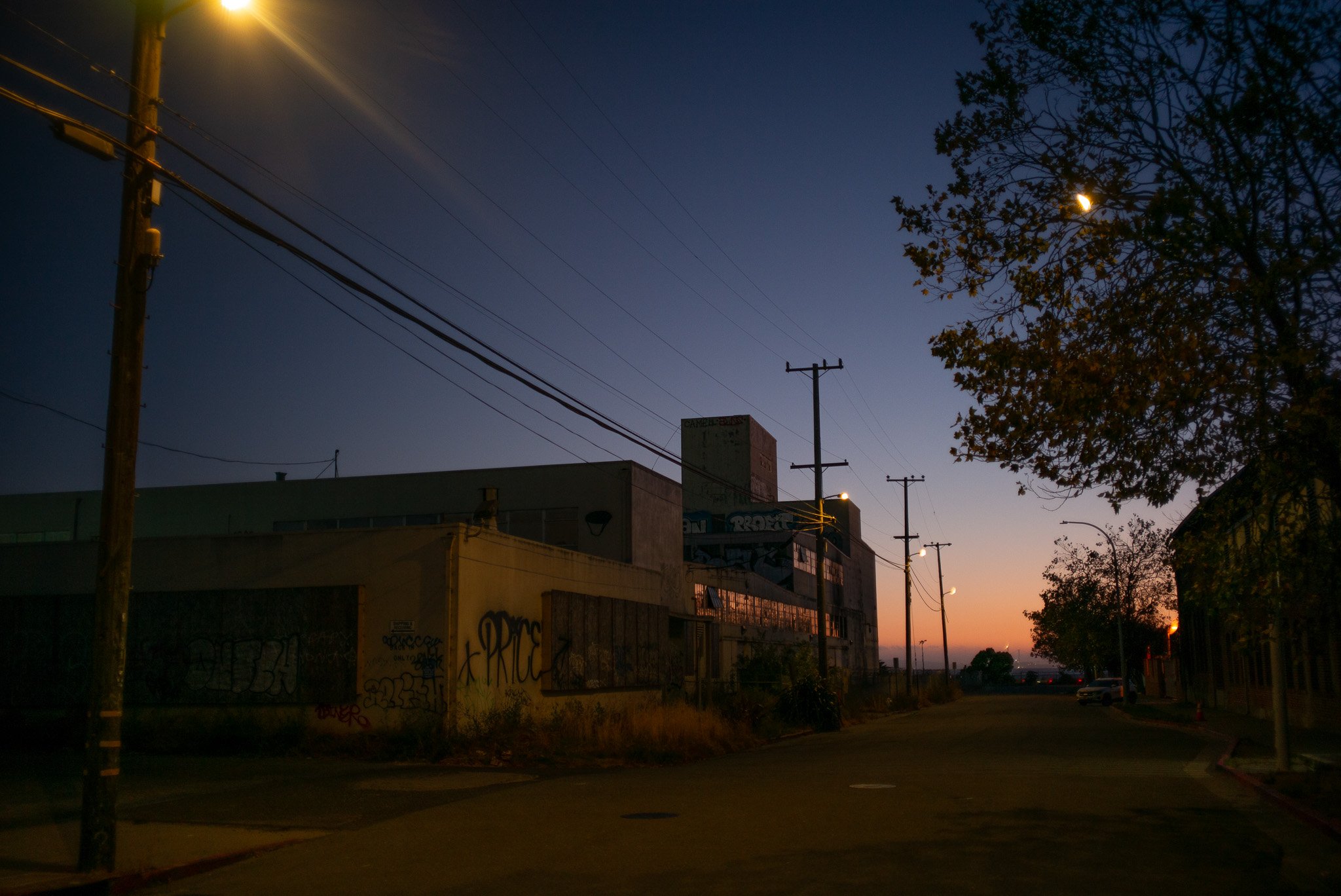 L1001008.jpg
