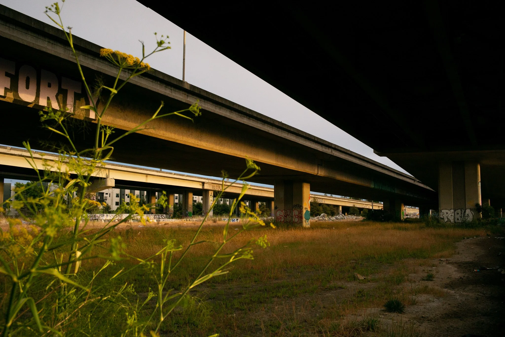 L1000856.jpg