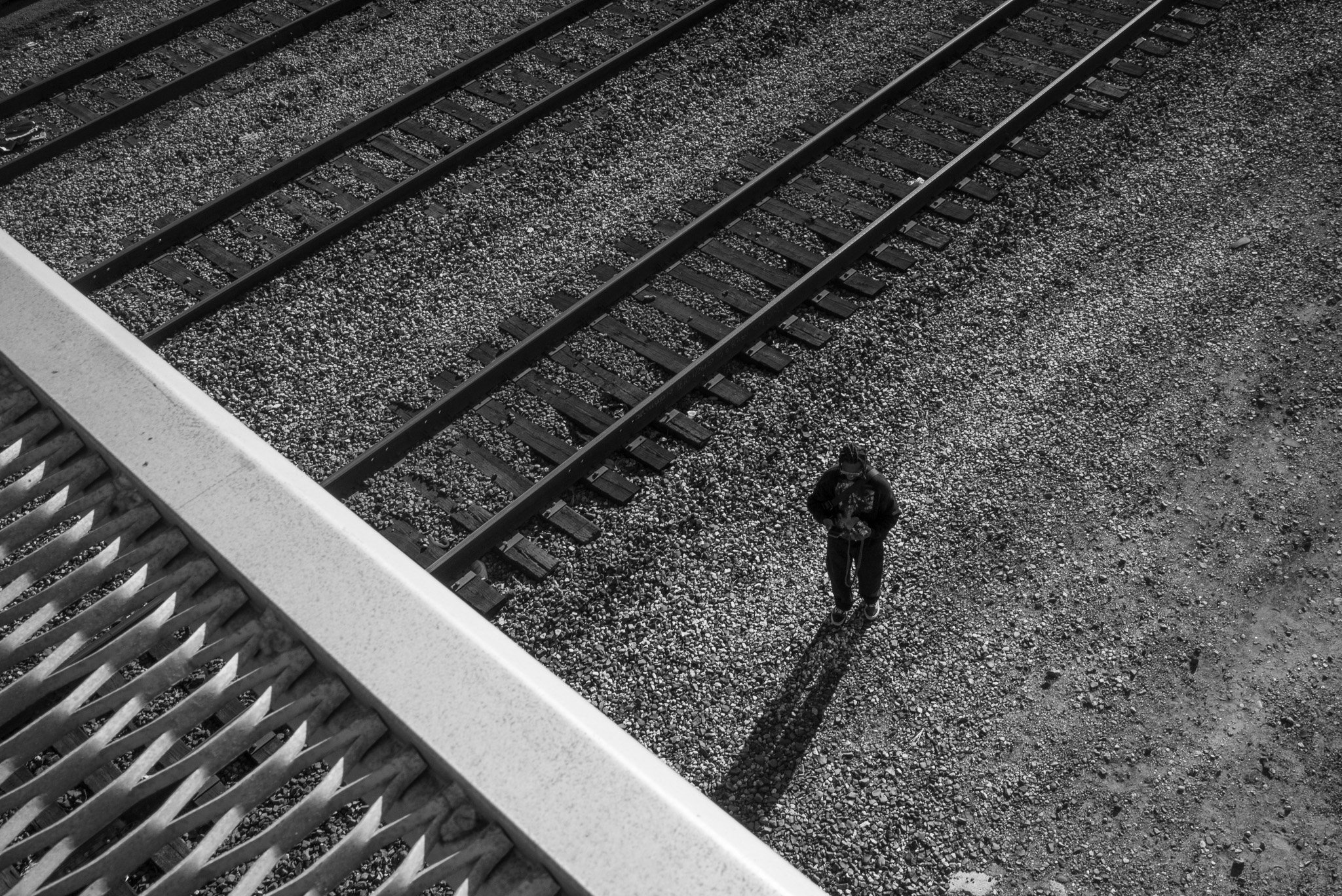 L1000802.jpeg