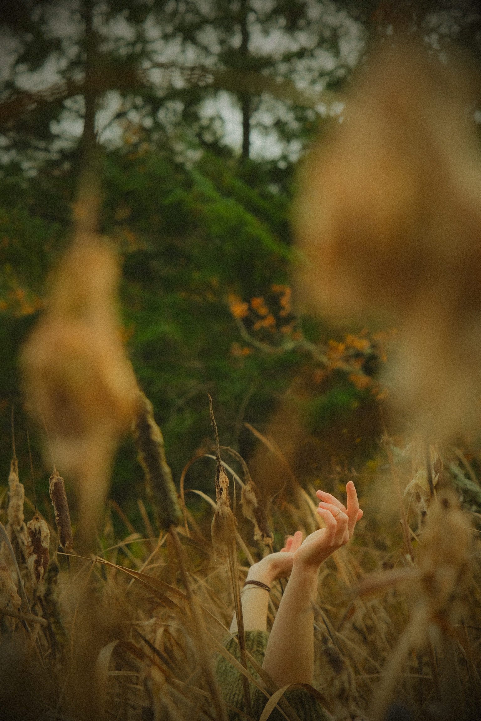 Photo of hands and arms reaching up from wild grass in expression of happiness and freedom