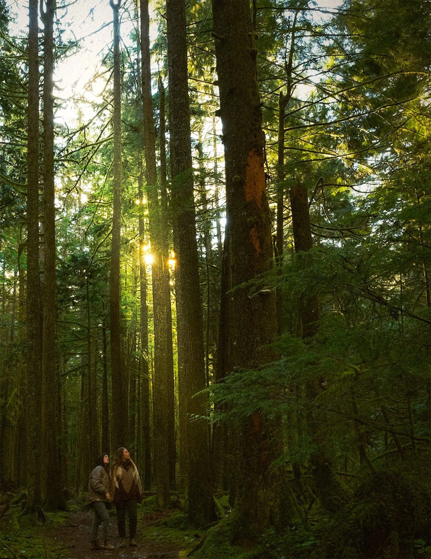 Sarah in the forest with a client