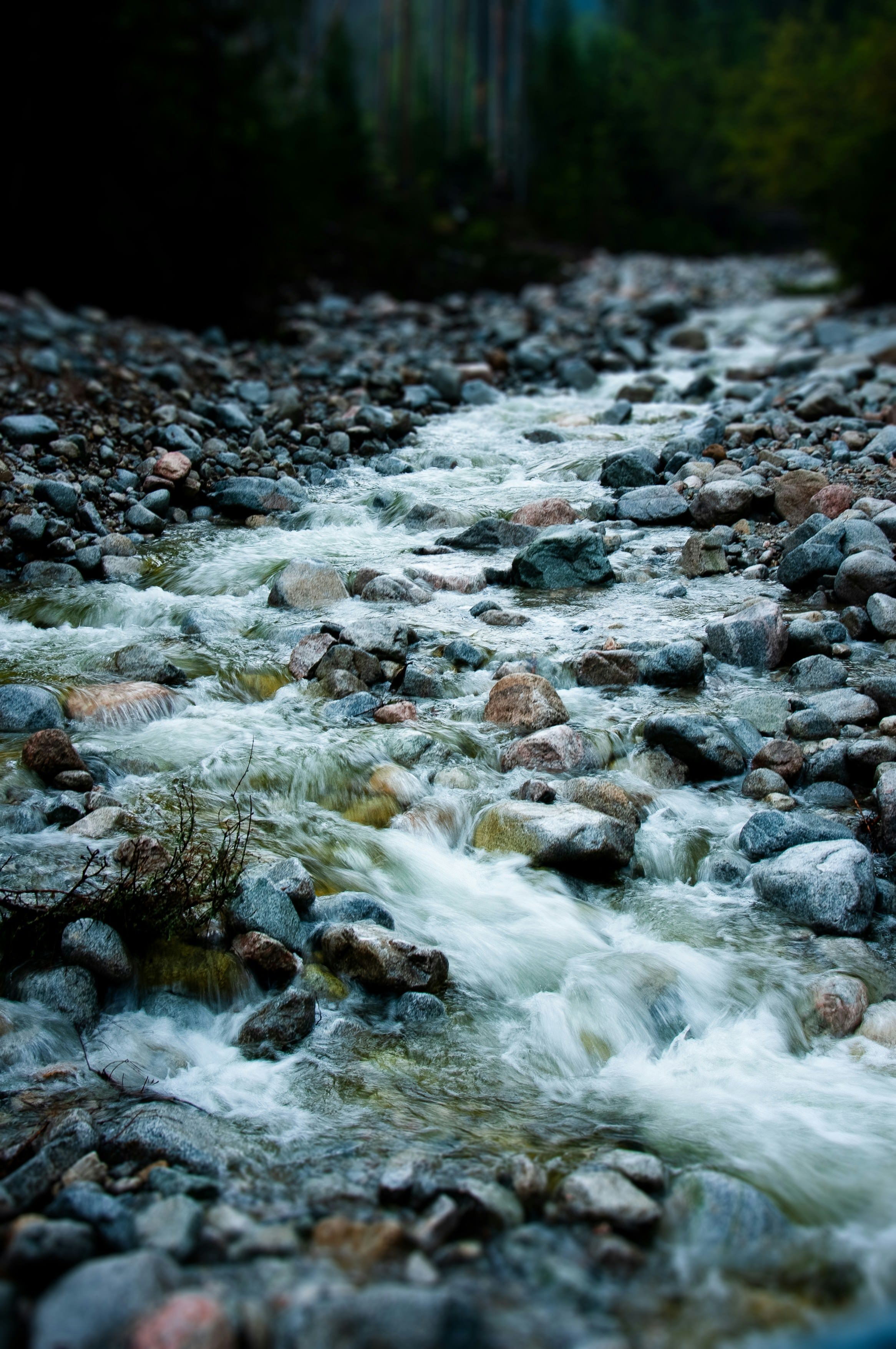 Stream.jpg
