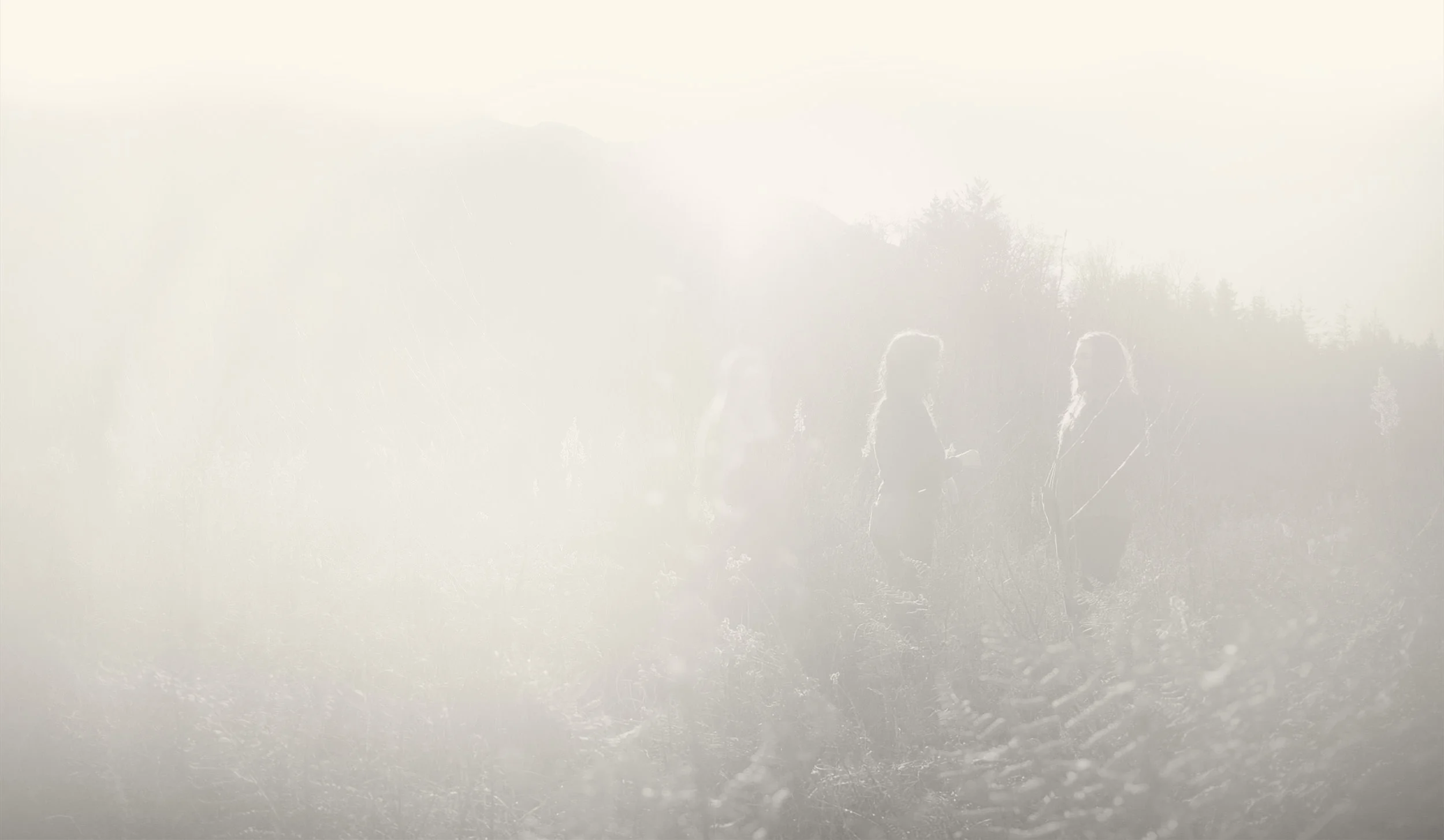 Photo of Sarah Steele Johnston with another counsellor/coach/therapist providing mentorship