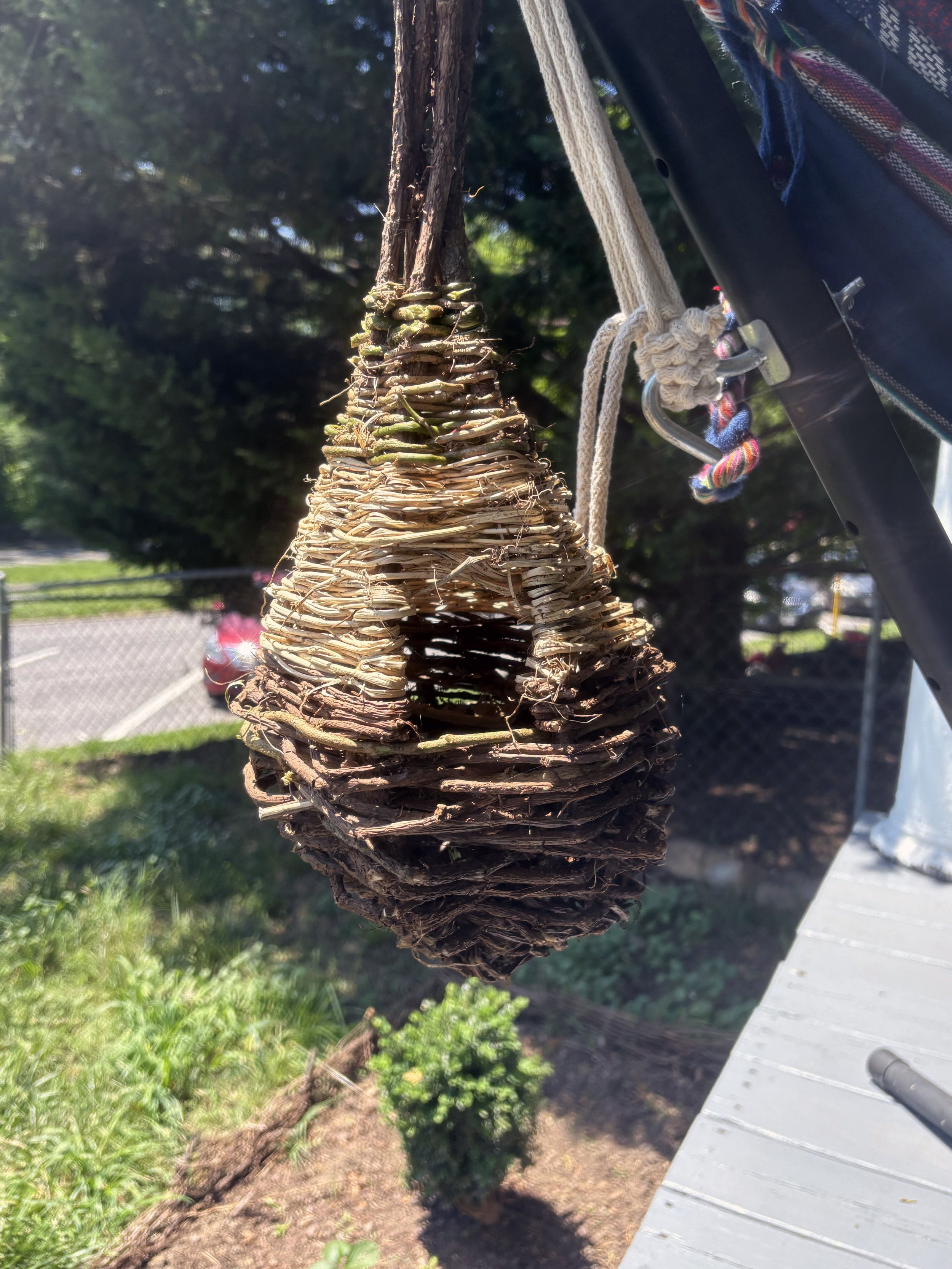 Invasive Vine Birdhouses & Garden Forms