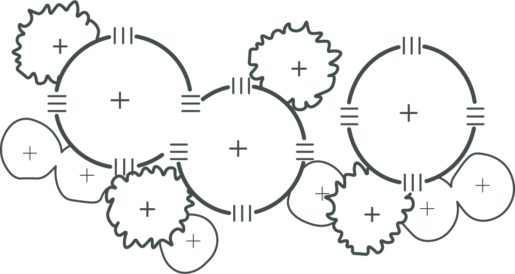 A plan drawing of a grouping of plants