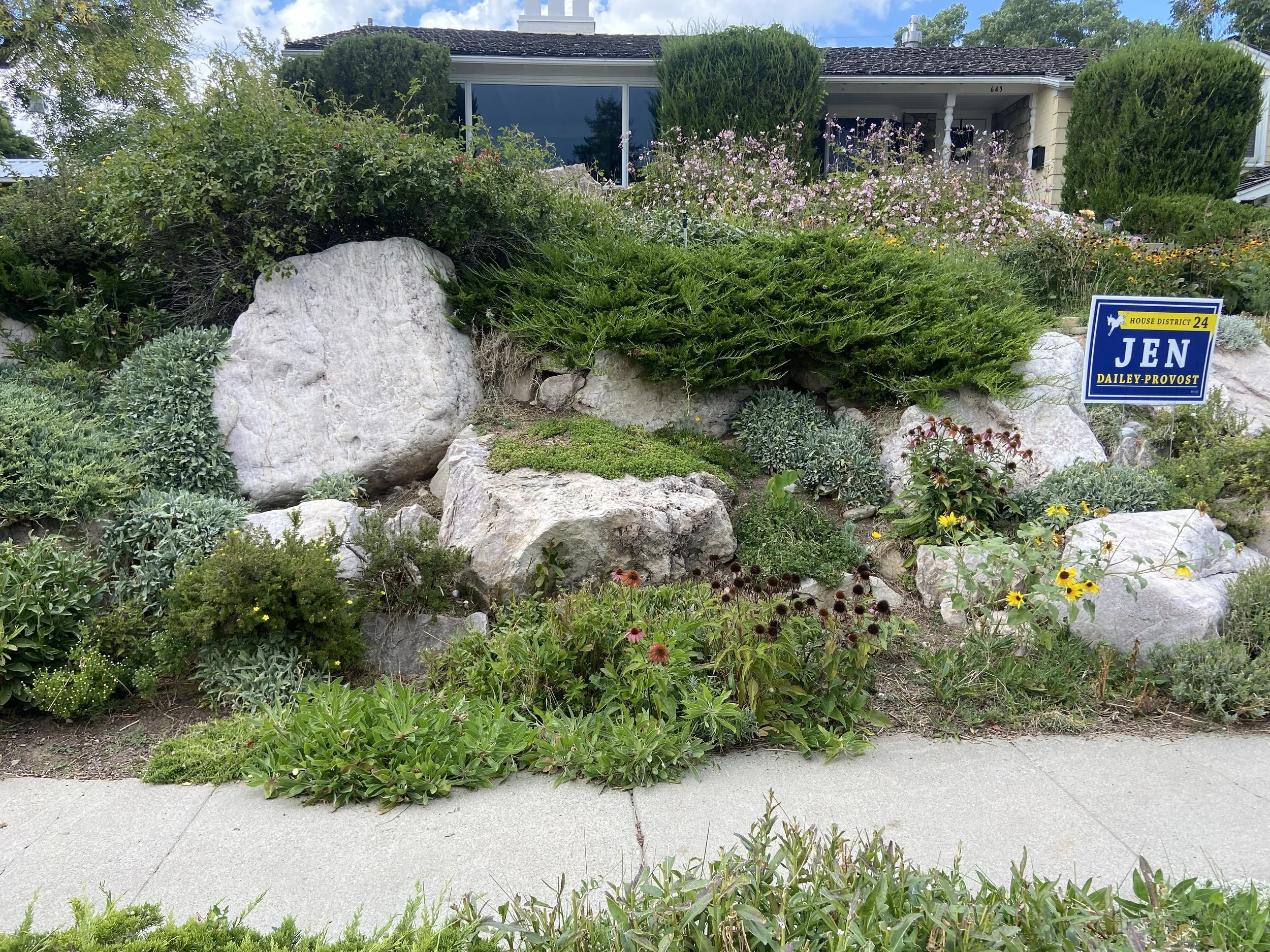 A garden with large rocks, various green plants, waterwise perennials, well maintained plants, and flowers in front of a house. 
