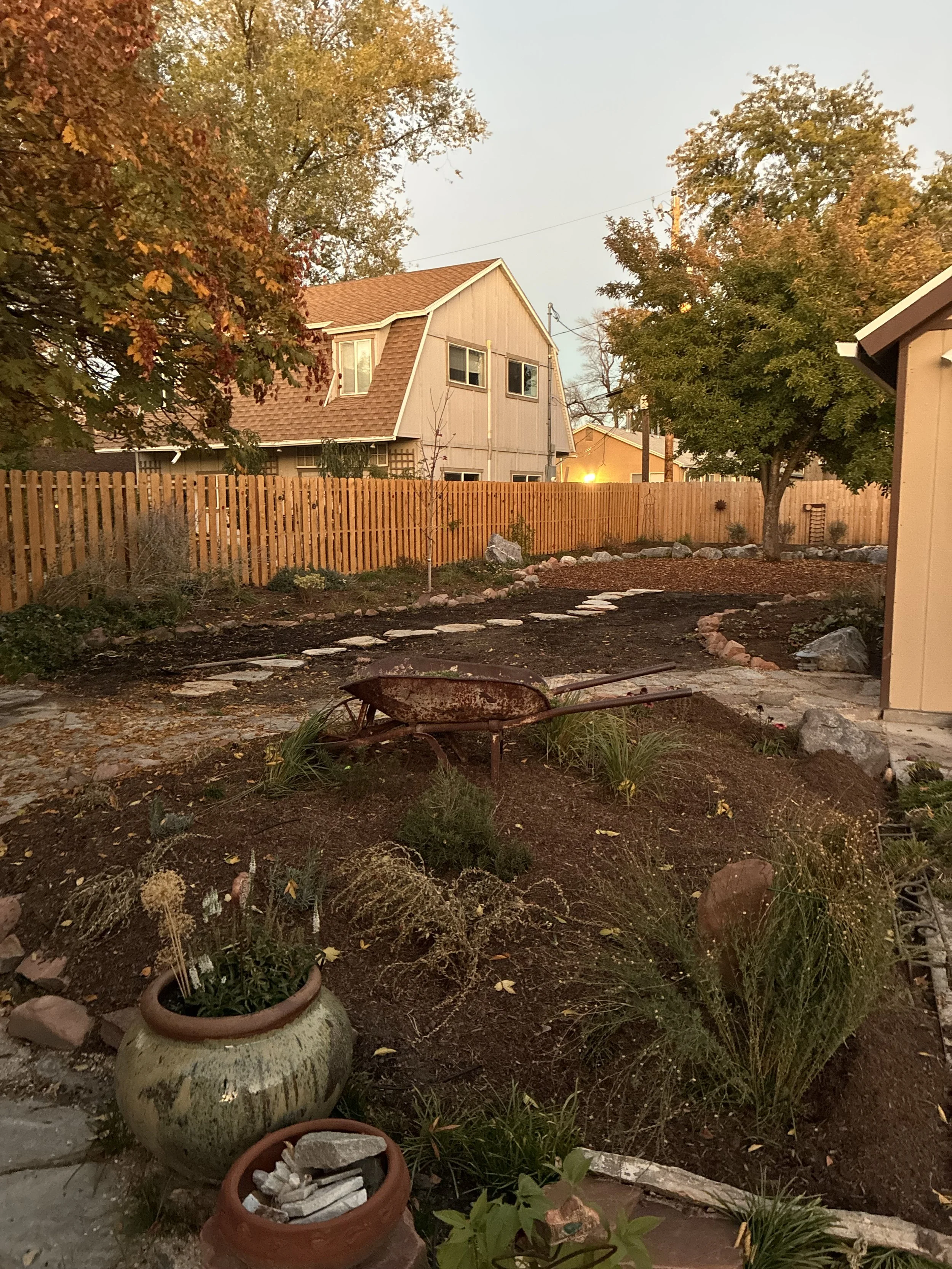 Backyard garden with a rusty wheelbarrow, drought tolerant plants, potted plants, a stone path, and trees, during sunset.