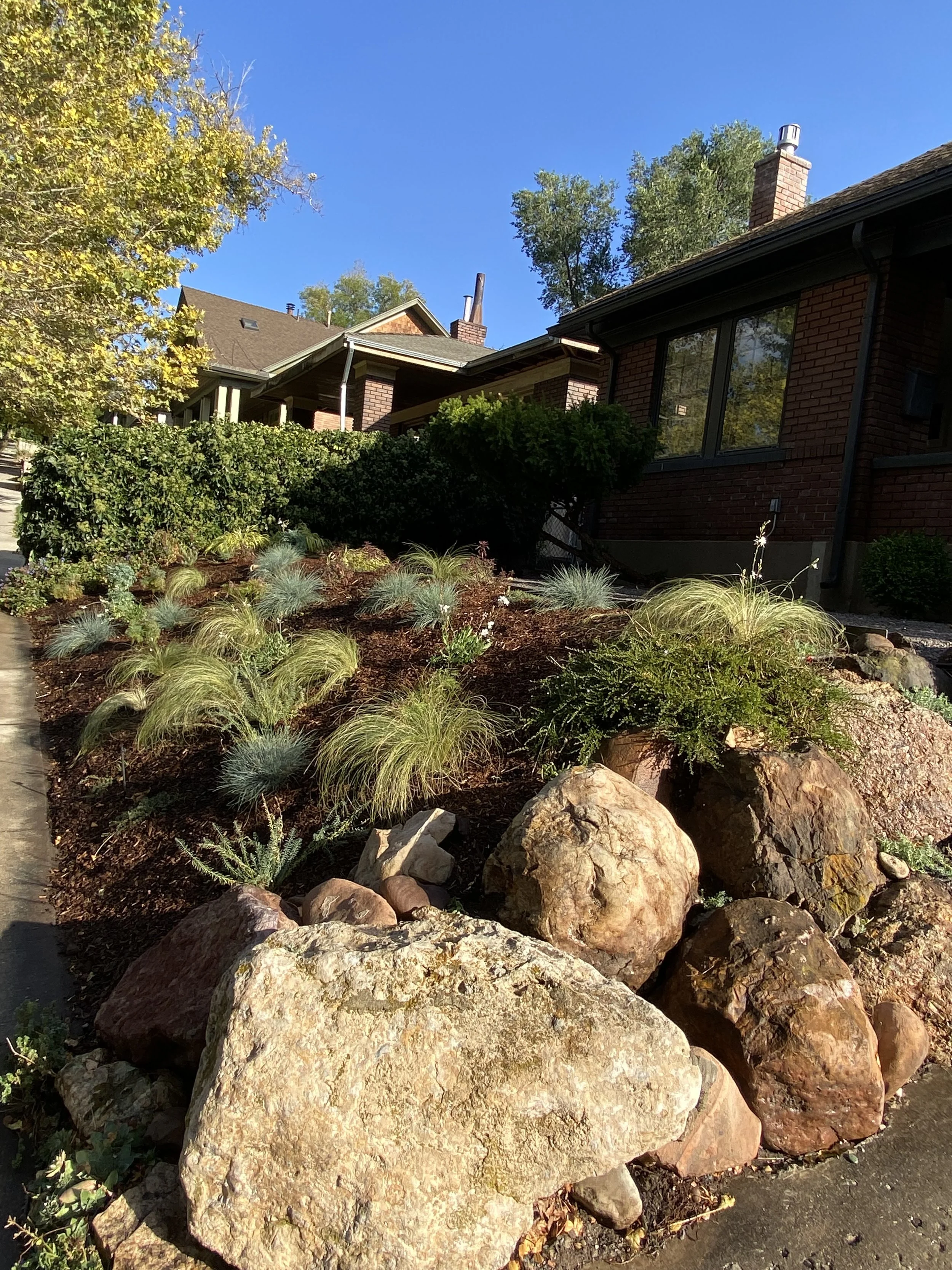 Landscape with rocks and drought-tolerant plants in front of brick house, trees, and a clear blue sky.