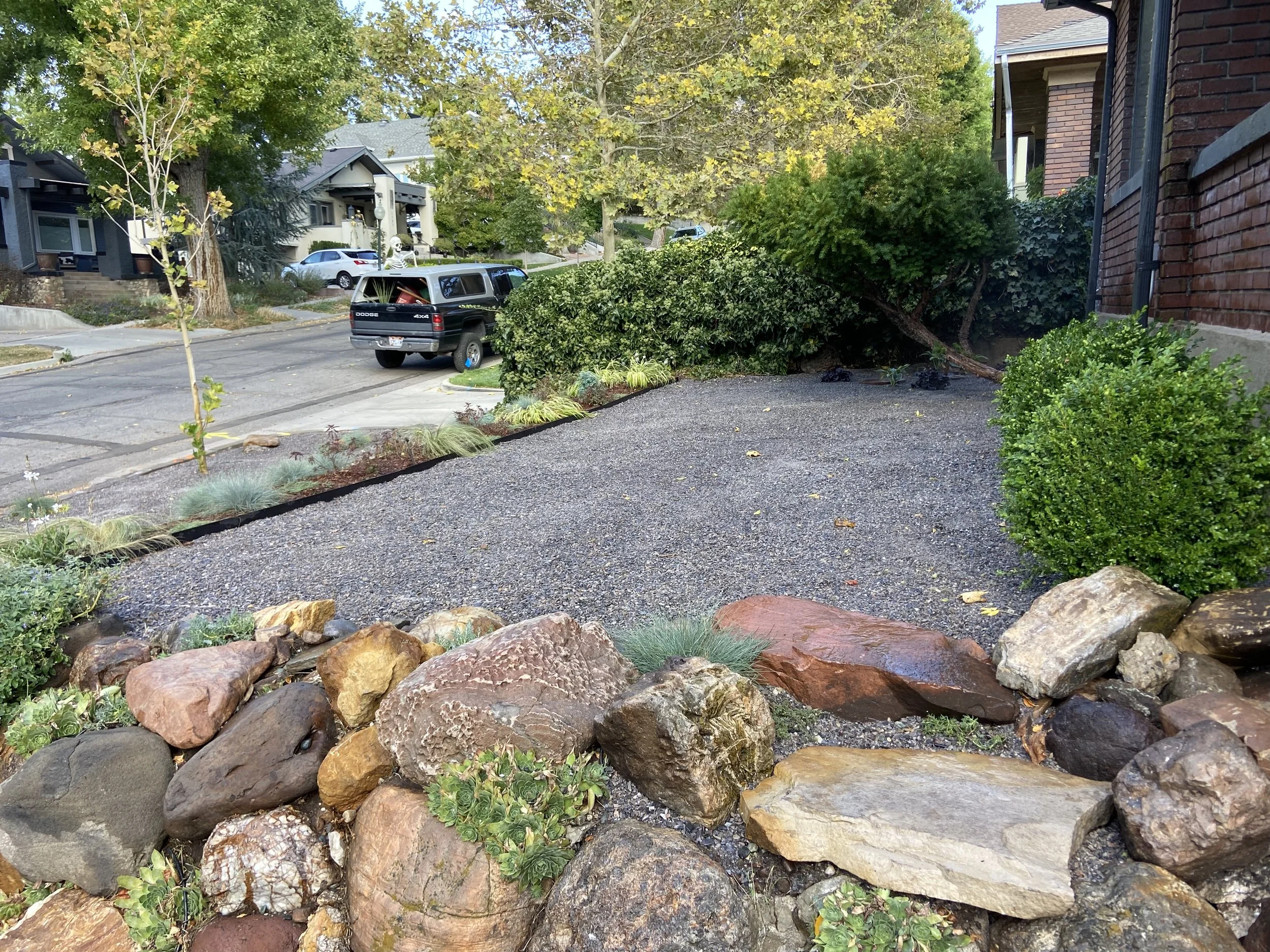A landscaped front yard with a gravel area, rocks along the border, and bushes. A fallen tree leans against a green bush, with a street and parked cars visible in the background.