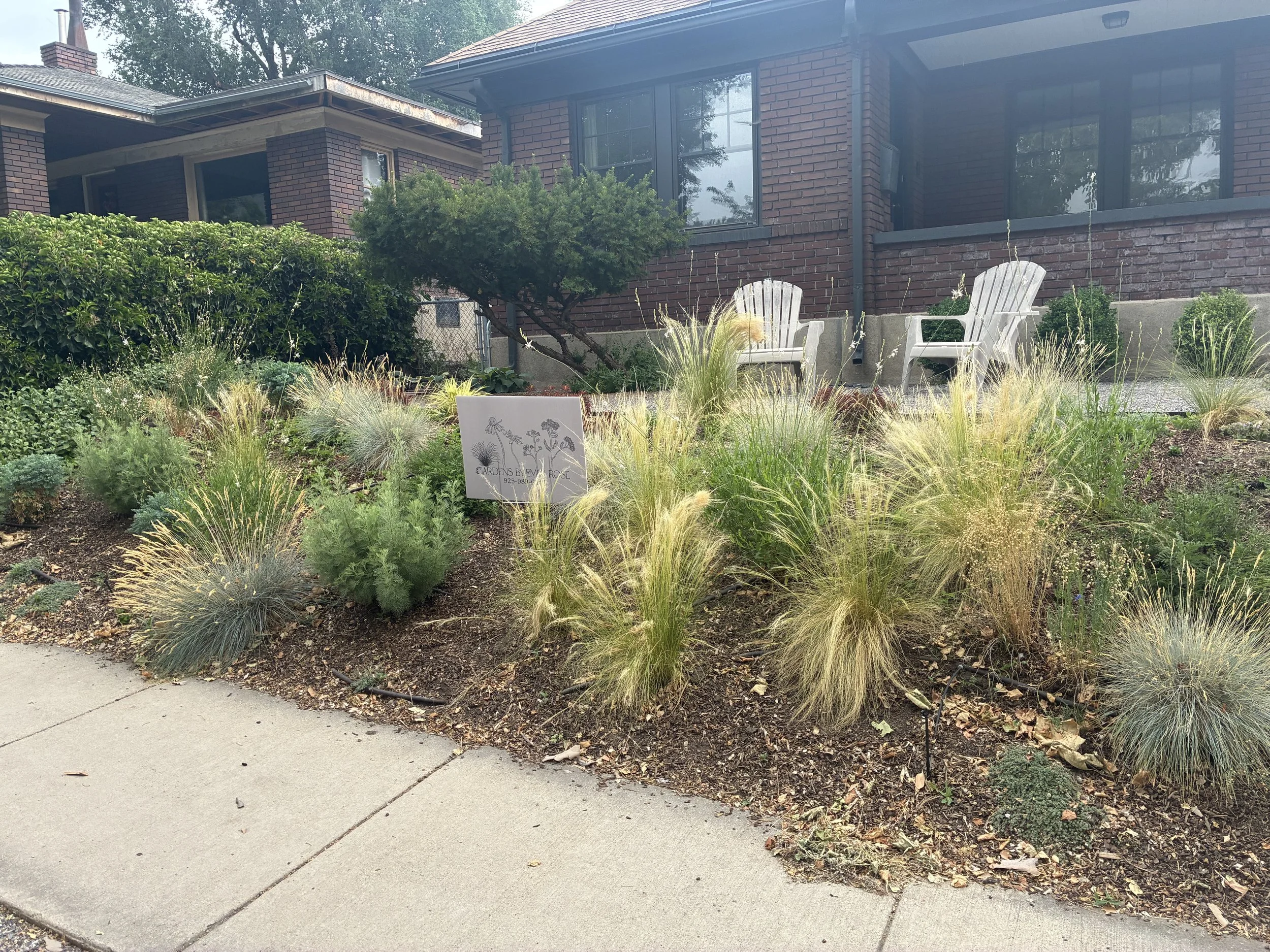 A garden bed with various plants, waterwise perennials, and grasses in front of a brick house, featuring two white Adirondack chairs on a patio. 