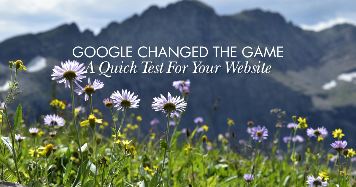 Google Search Changed The Game: A Quick Test For Your Website