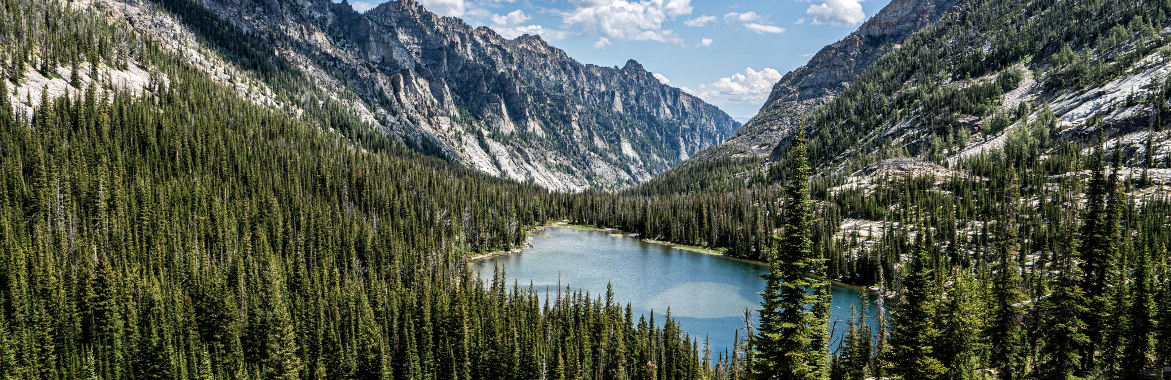 Mountain lake surrounded by pine forest in Montana