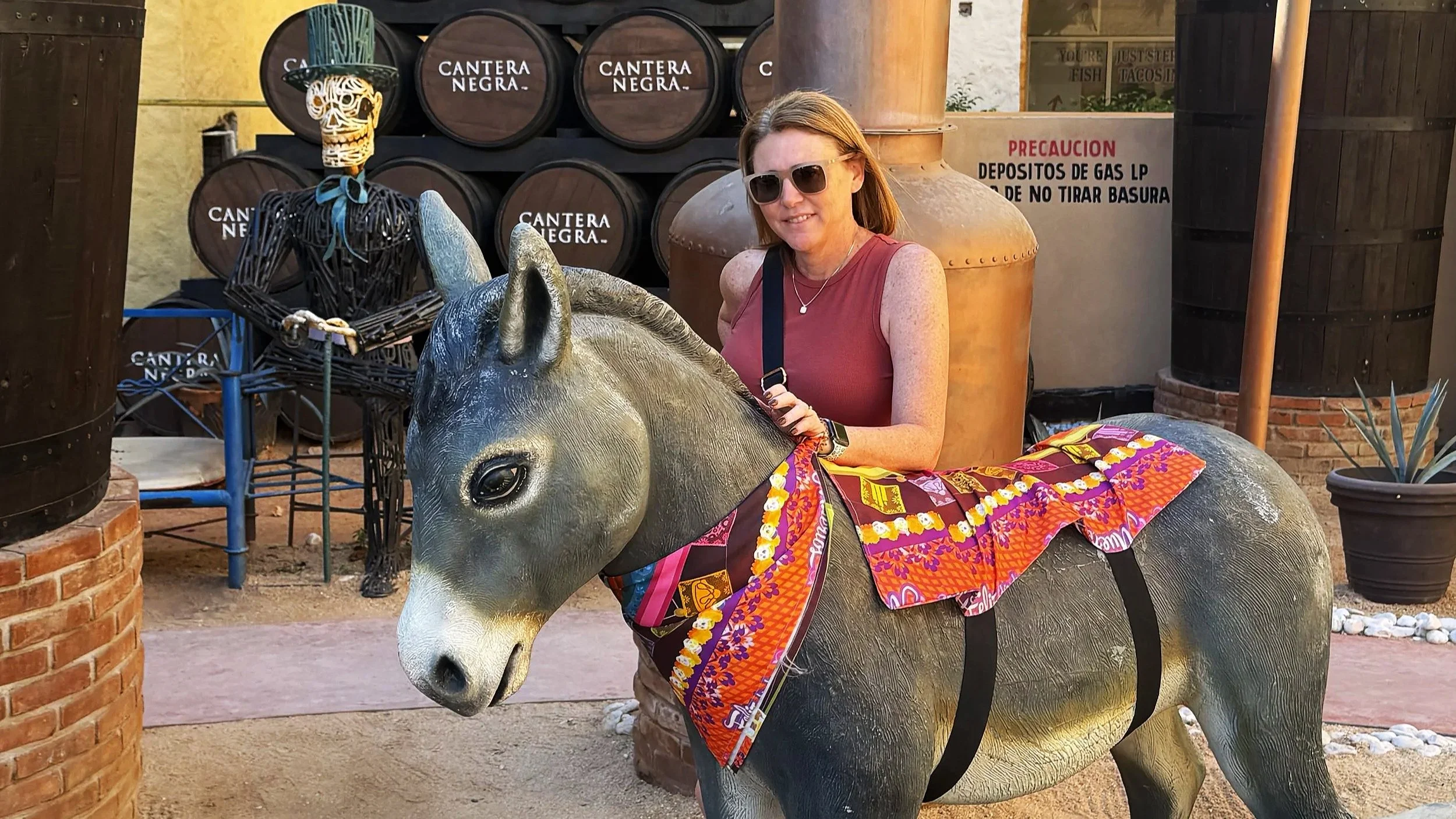 Brandy Is a Travel Advisor Now