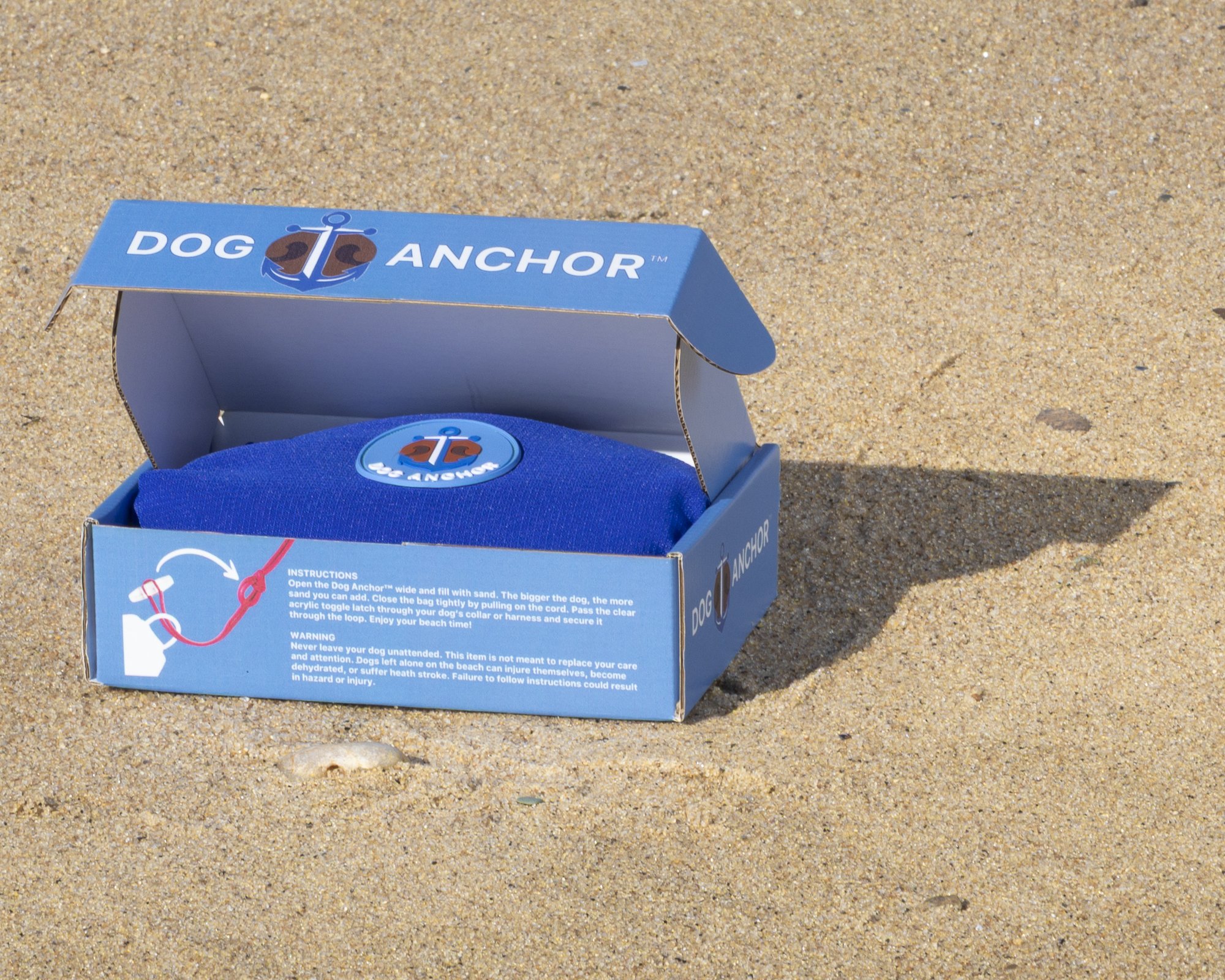 dog-anchor-cape-cod-beach-7.jpg