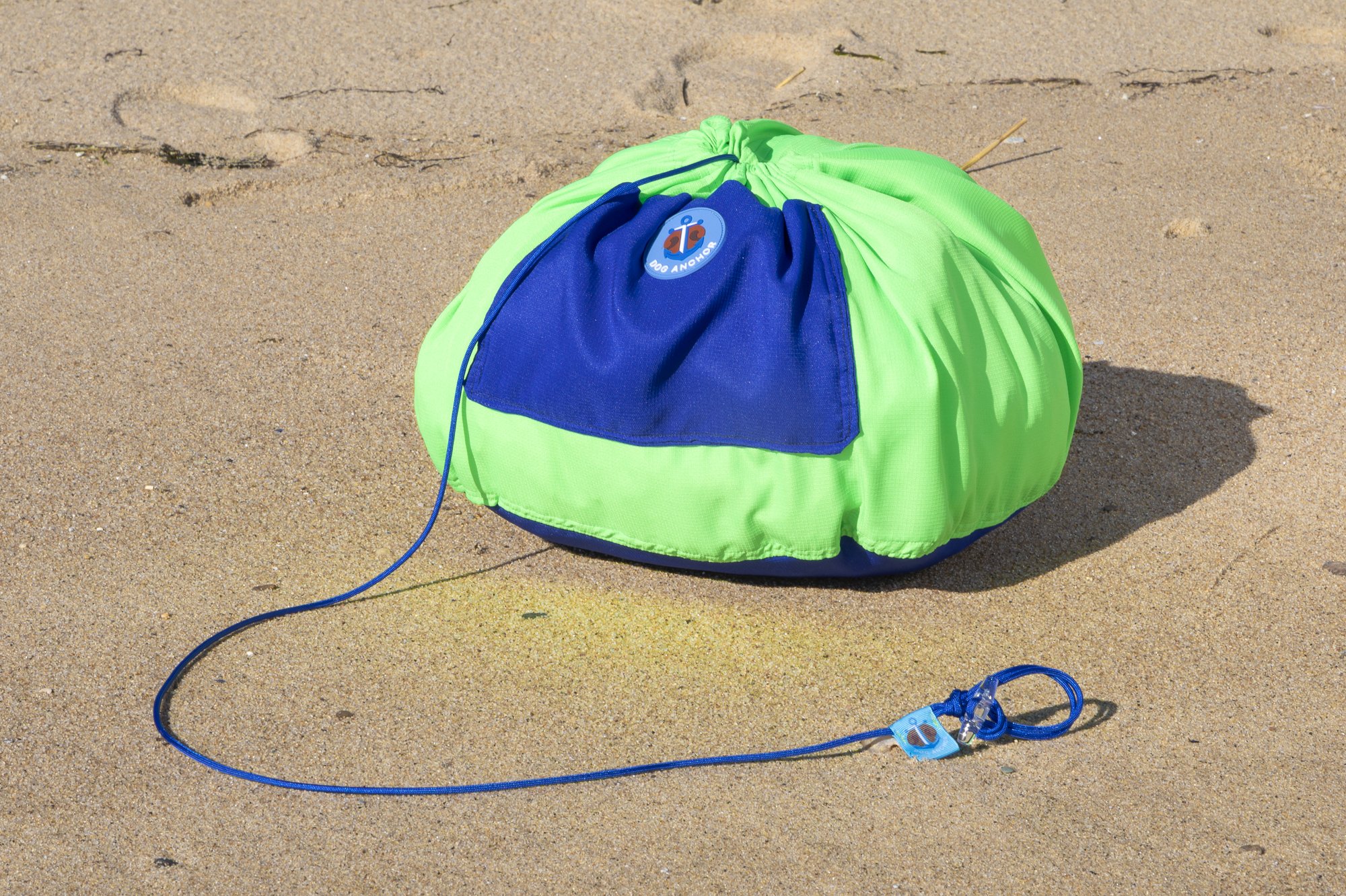 dog-anchor-cape-cod-beach-4.jpg