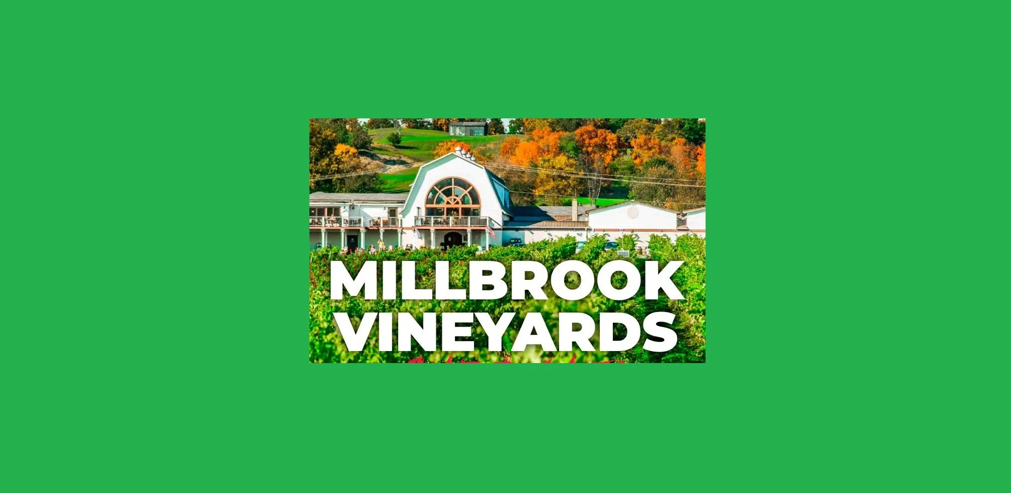 Mike and Andrea at Millbrook Vineyards & Winery