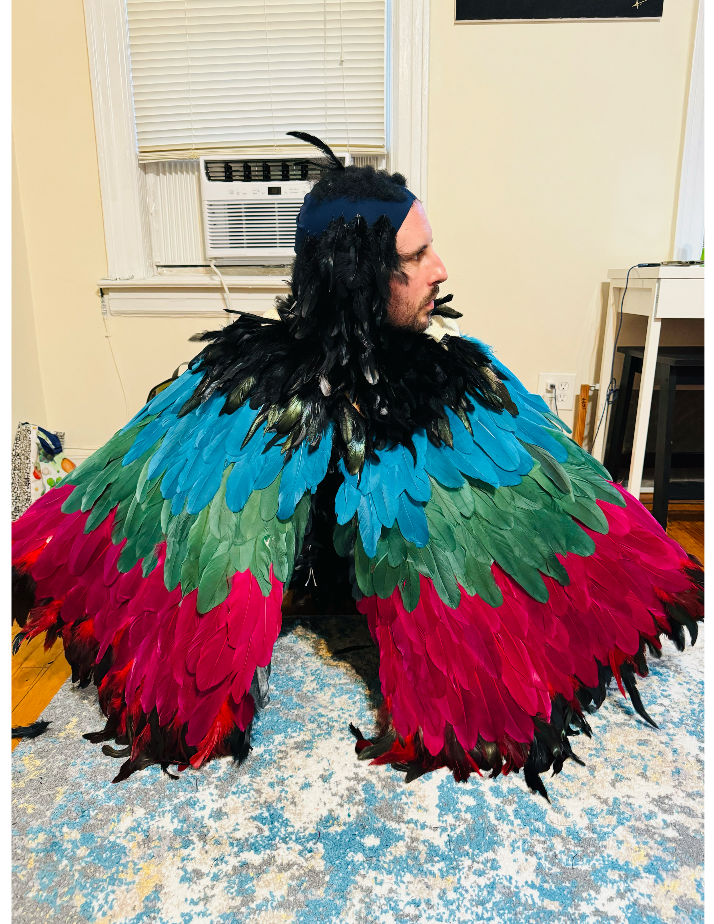 BIRD CAPE.png