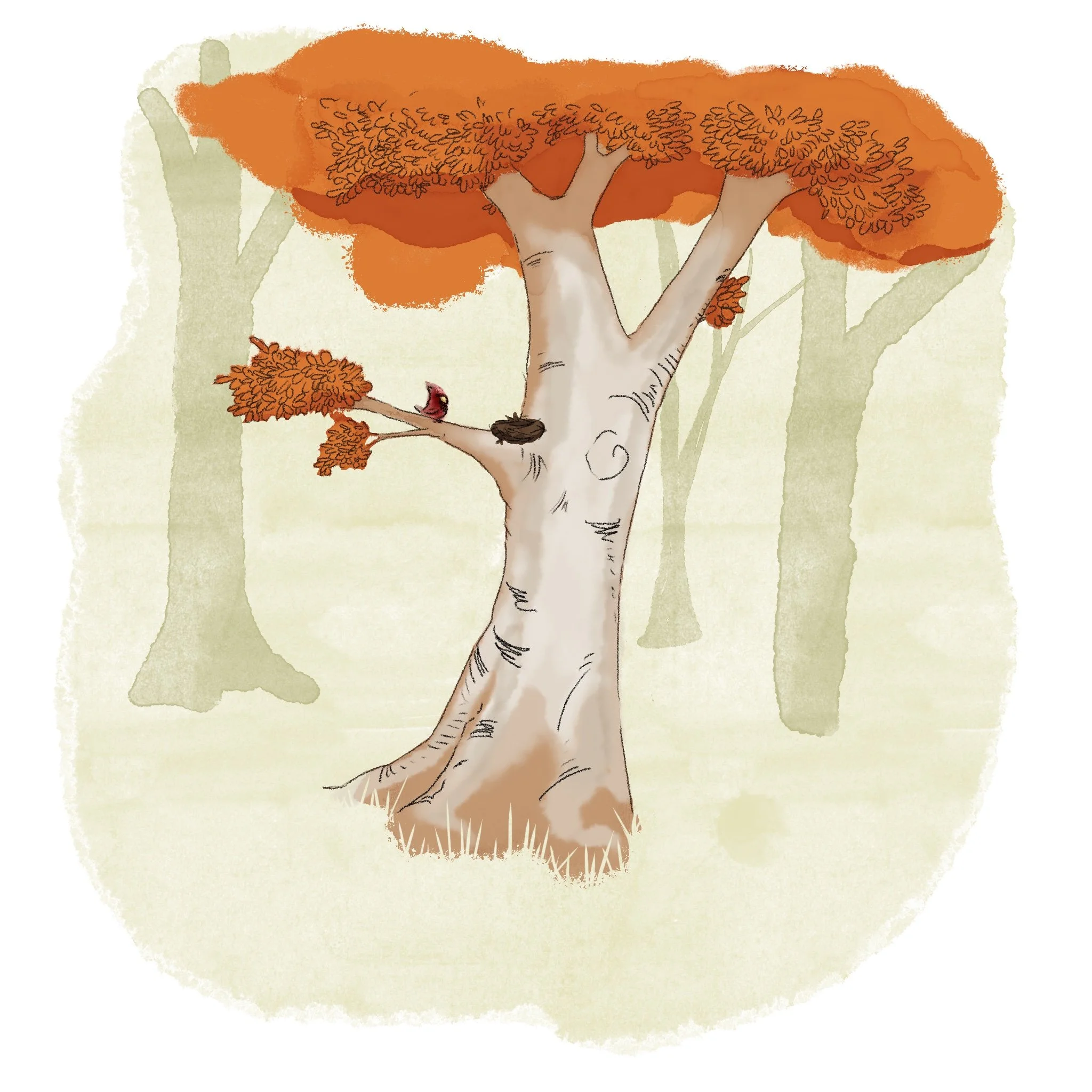 Second visual identity pitch for I Have to Go Away