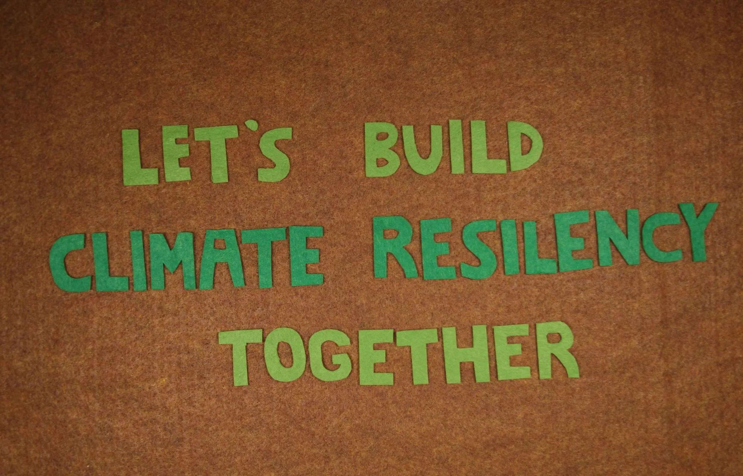 Adobe Express - file.jpg