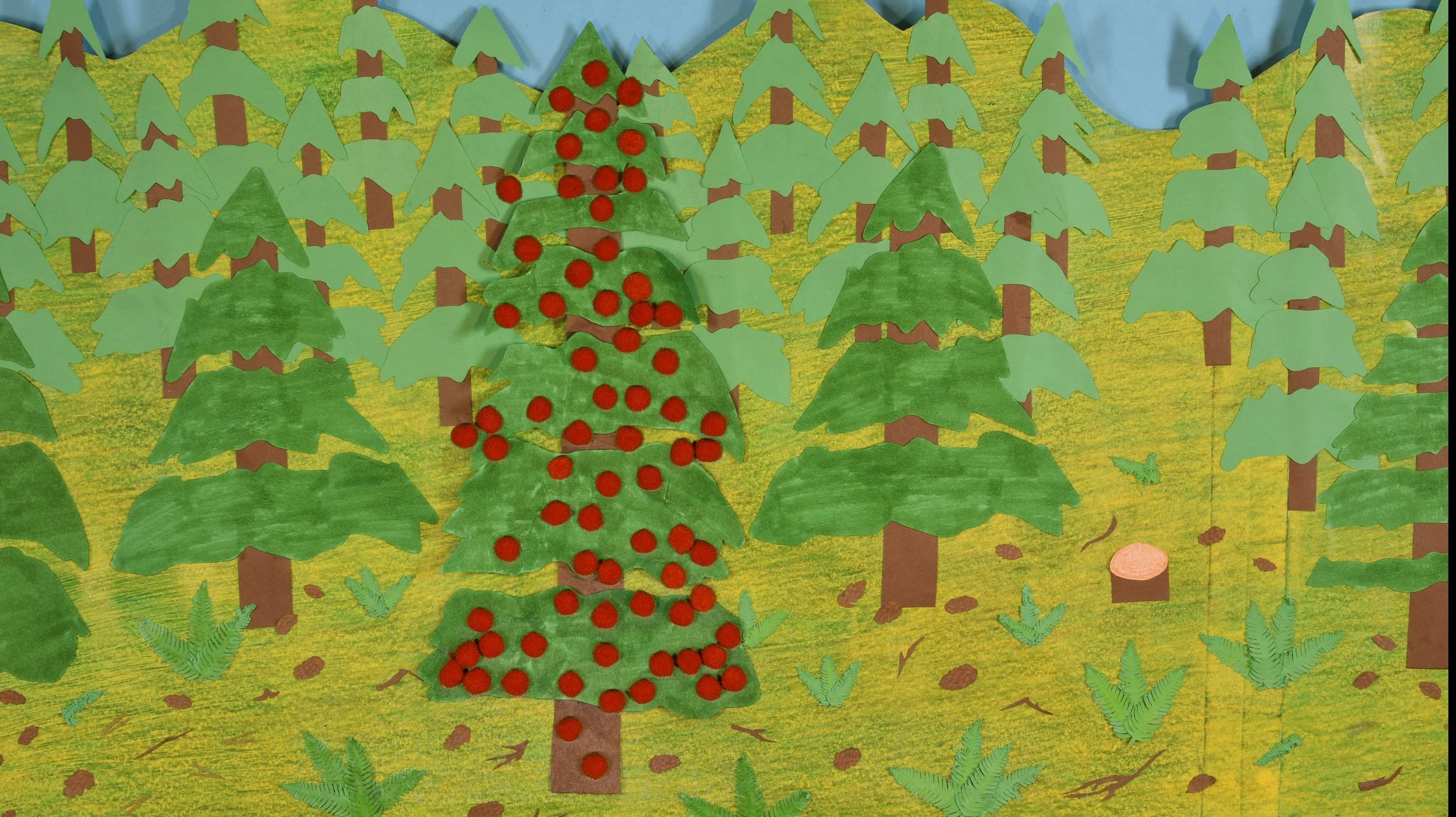 Carbon in Oregon's Forests