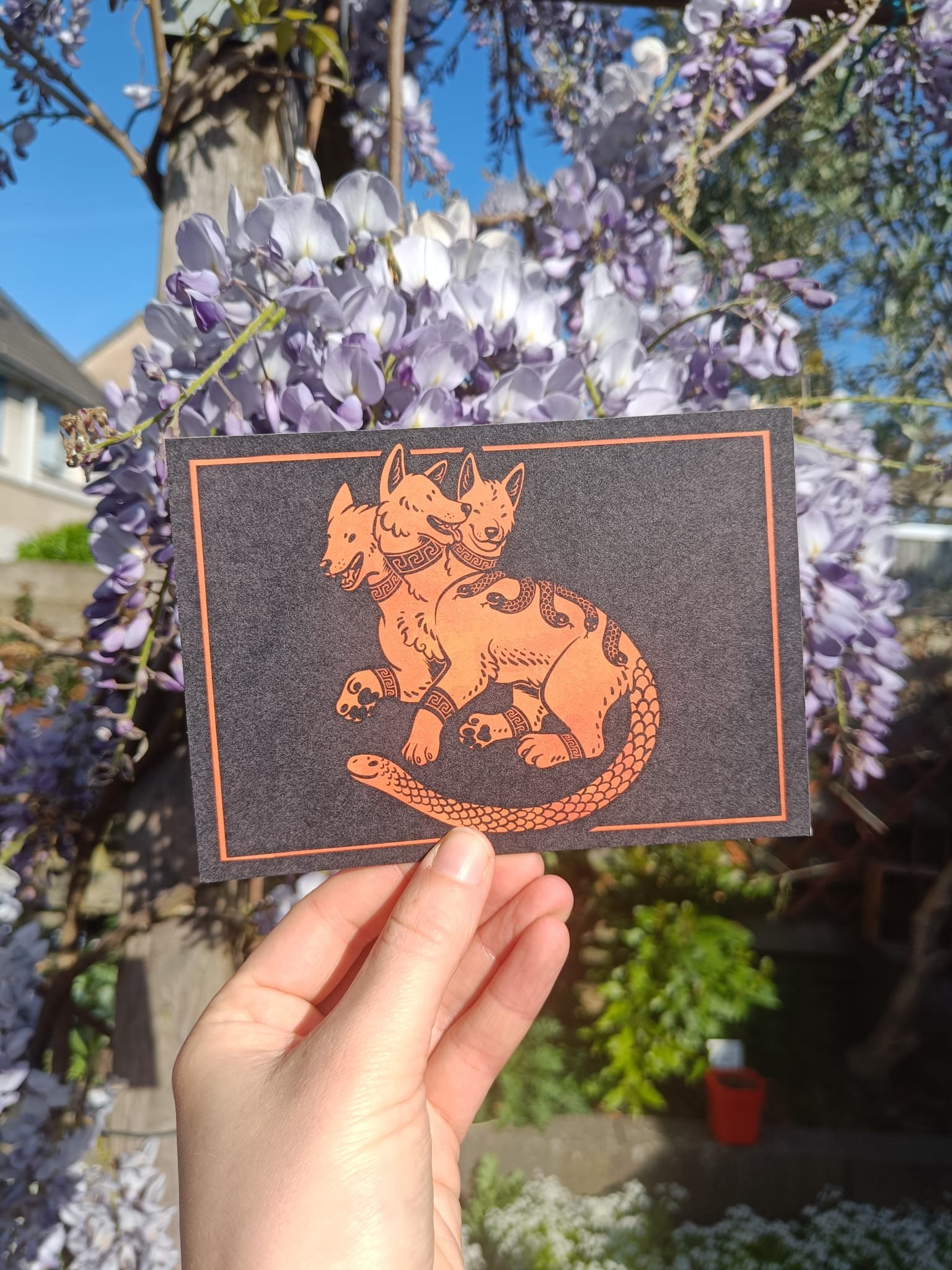 Cerberus postcard 🐕