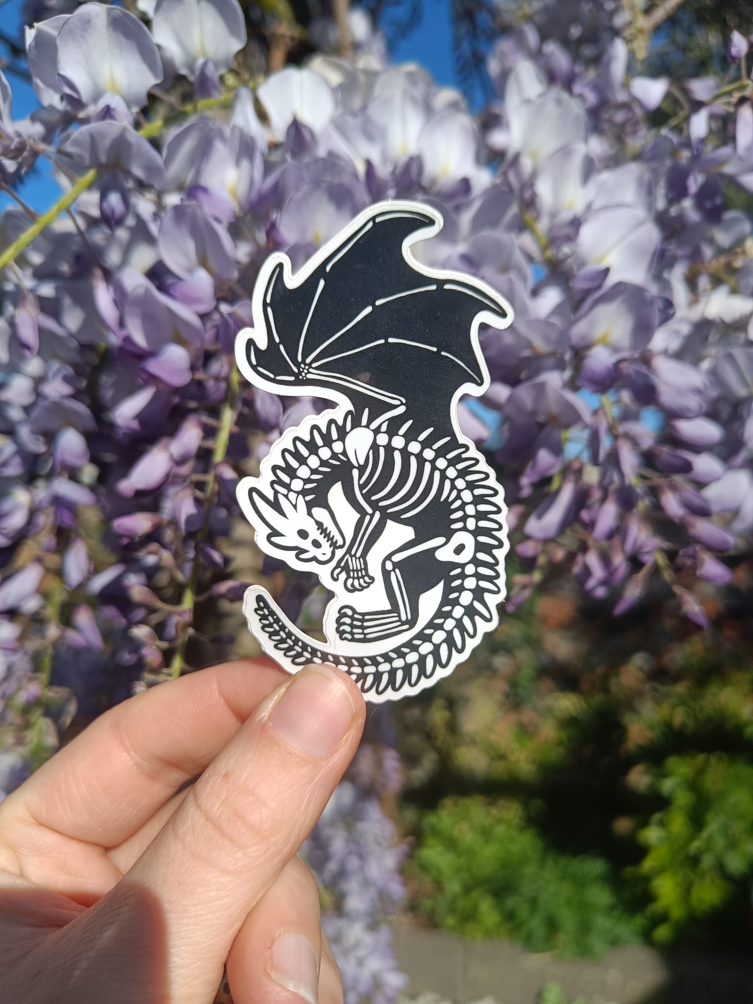 Dragon skeleton vinyl sticker 💀