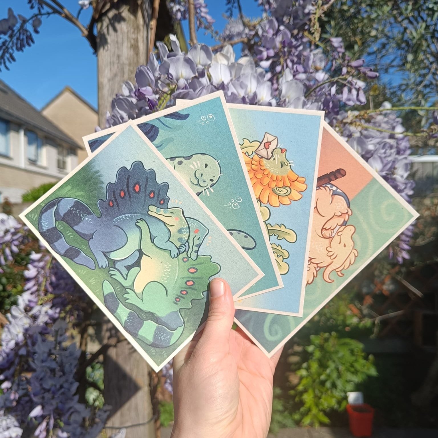 Set of 4 postcards 💌