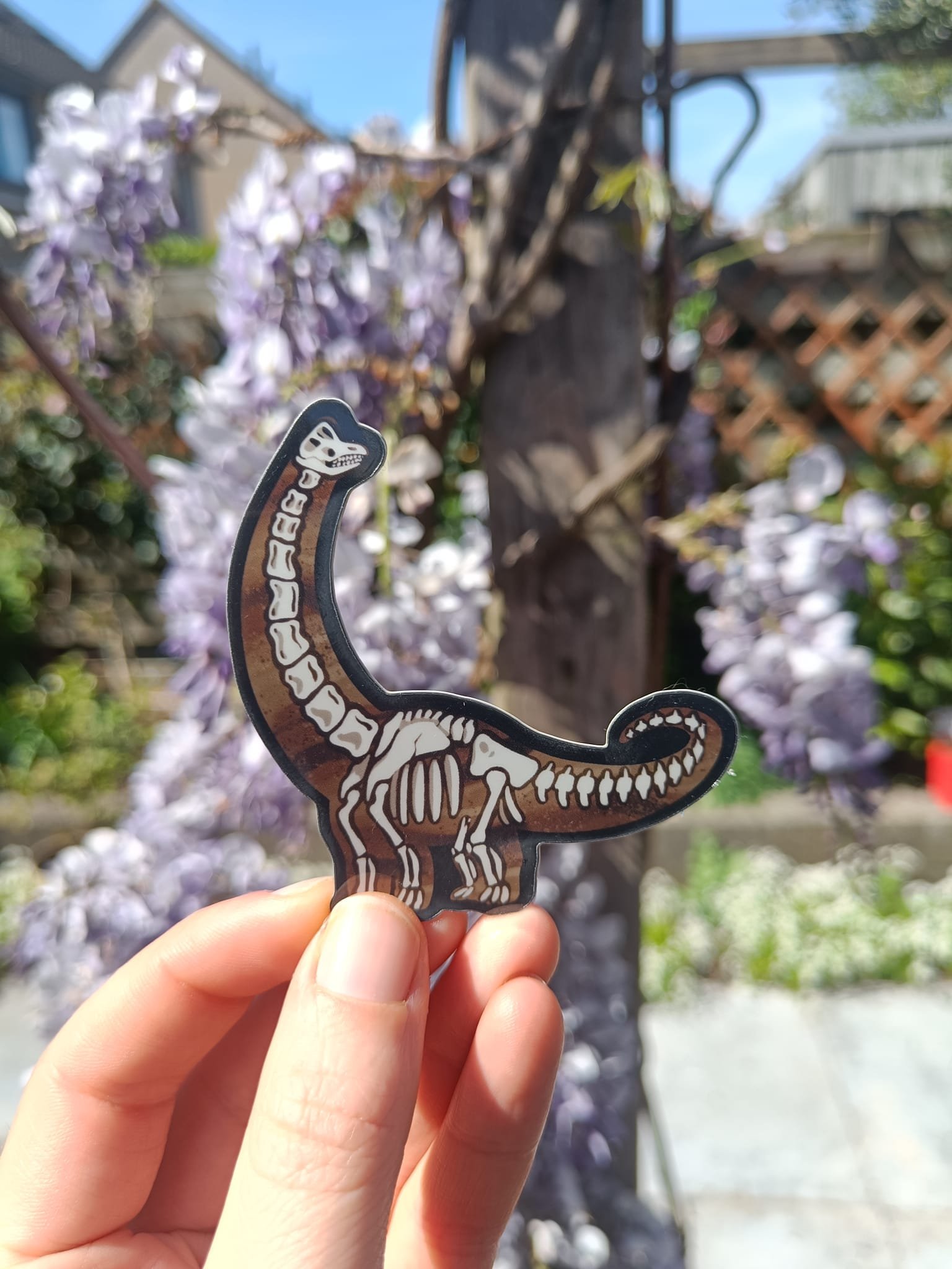Brachiosaurus (skeleton) vinyl sticker 💀