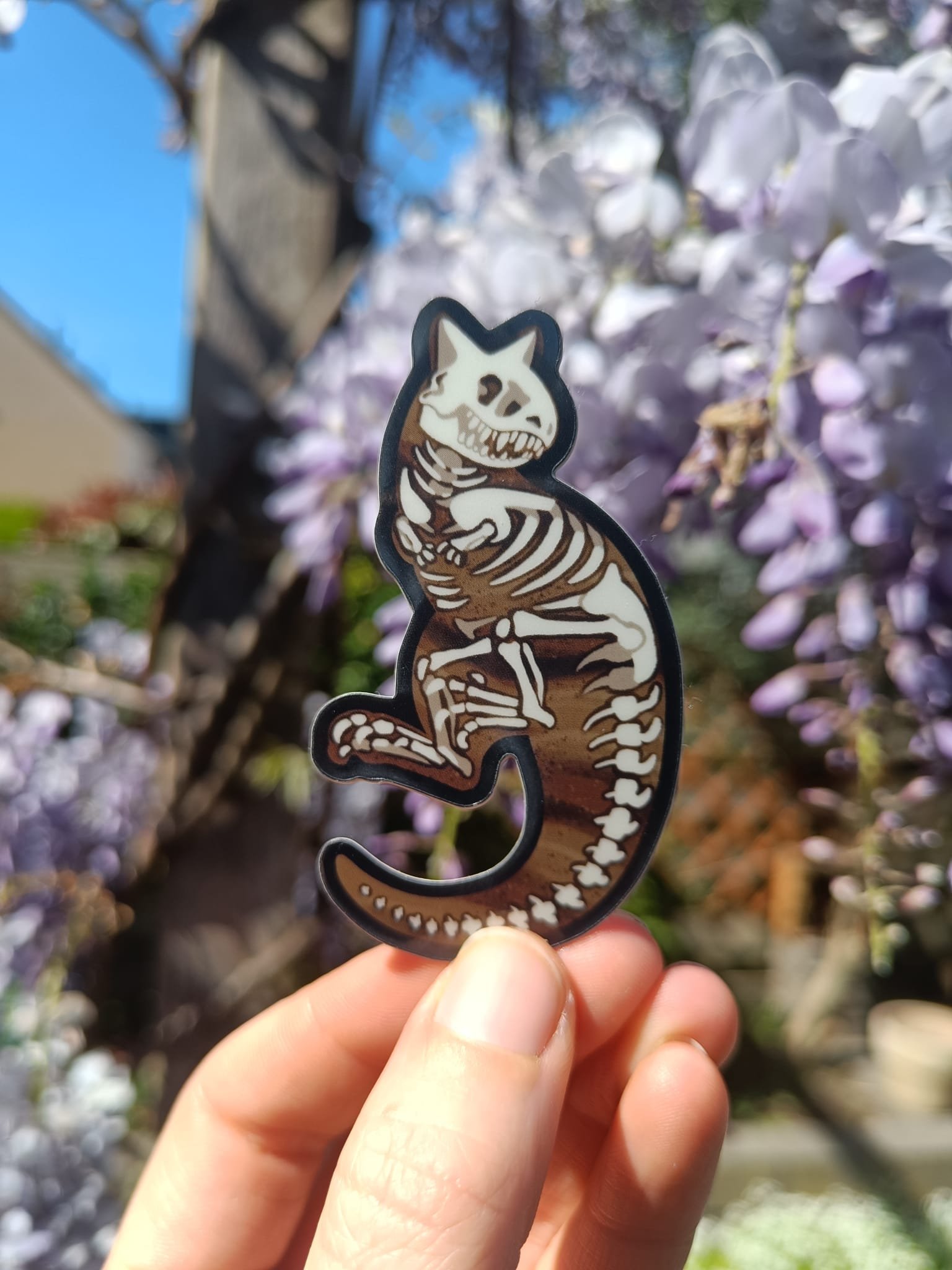 Carnotaurus (skeleton) vinyl sticker 💀