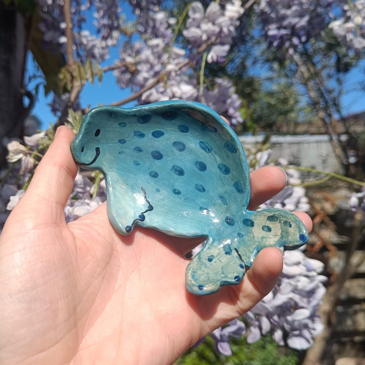 Small seal plate (with small imperfection!)🌊
