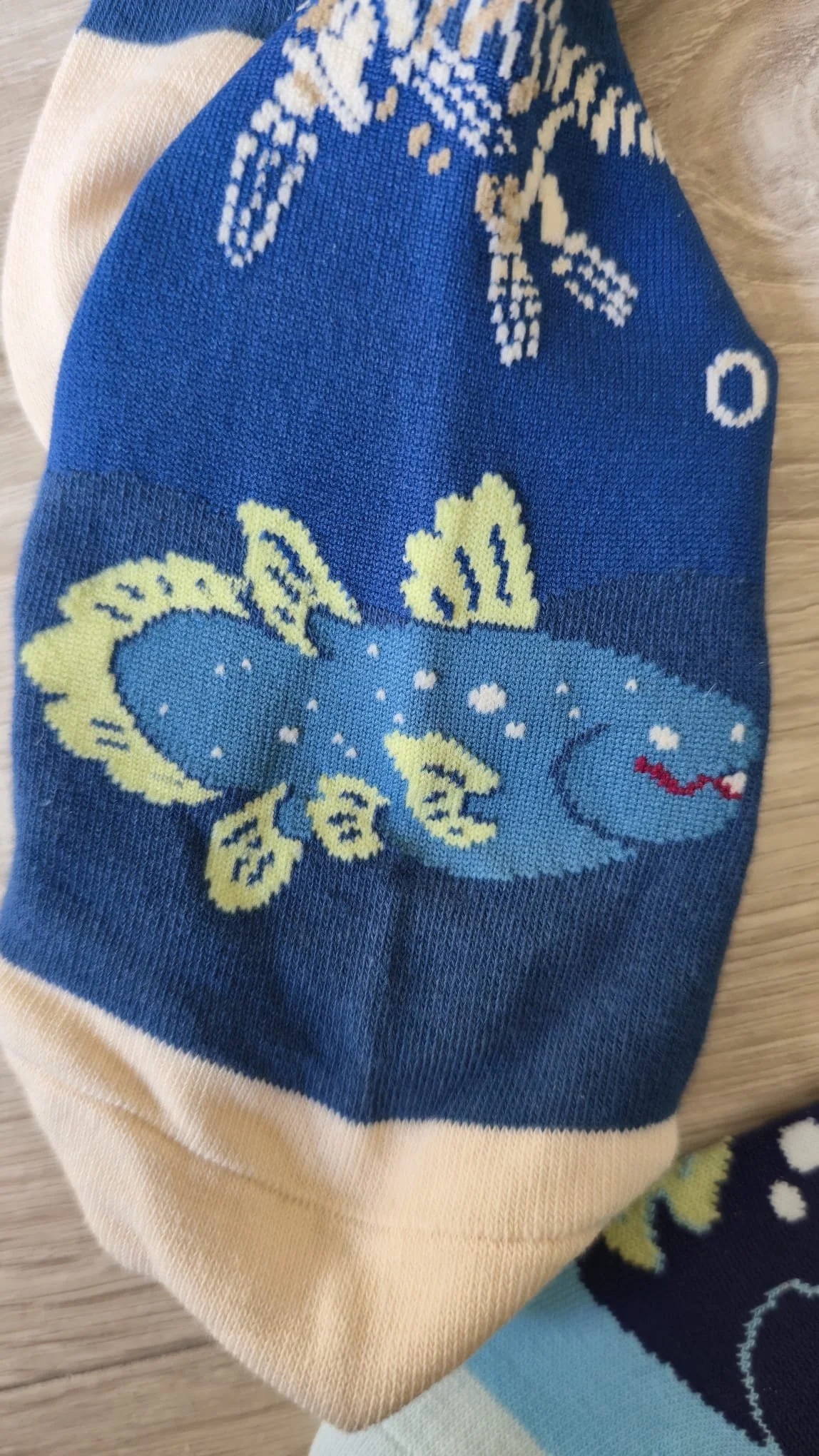 WhatsApp Image 2026-03-18 at 22.12.54(1).jpeg