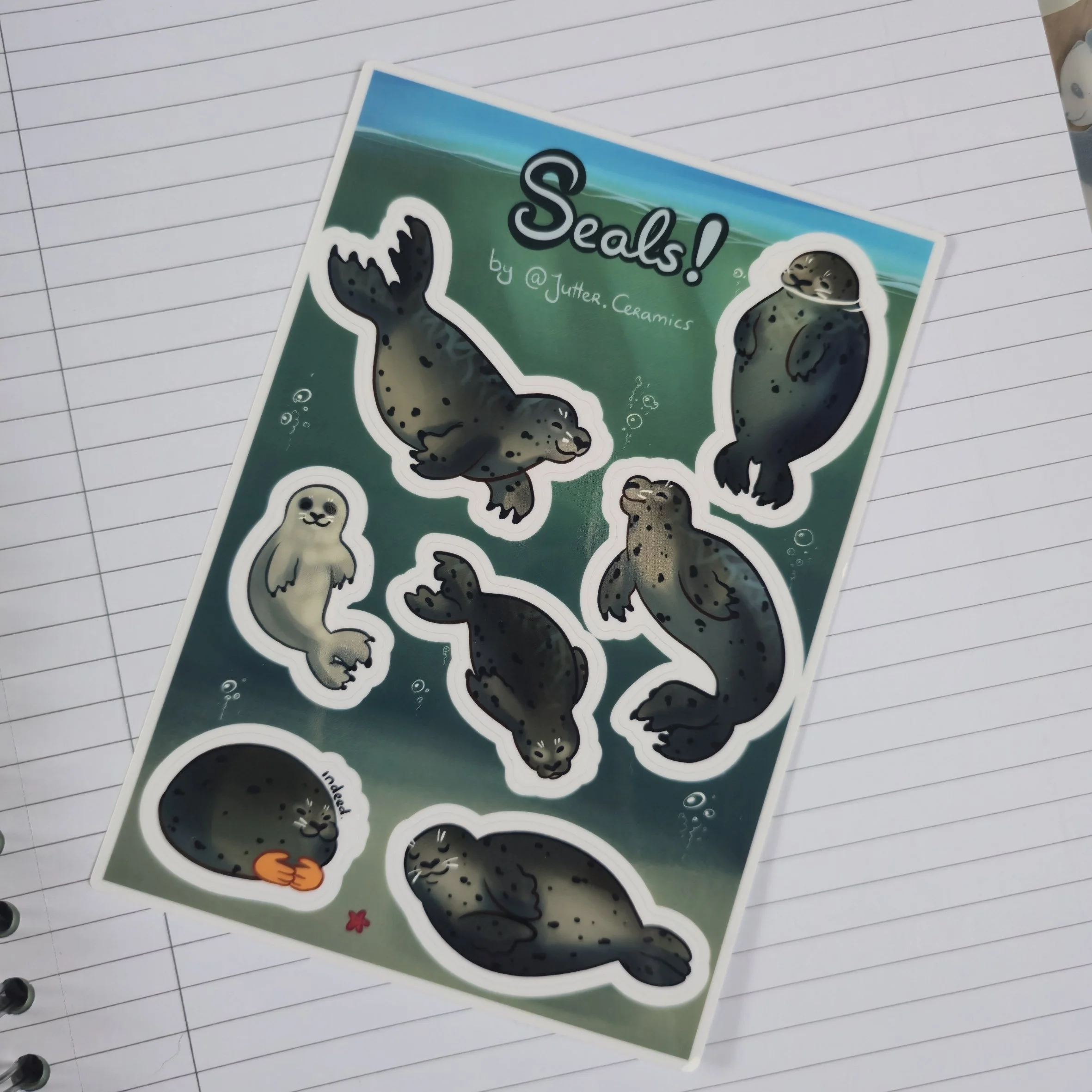 Realistic seals sticker sheet 🦭