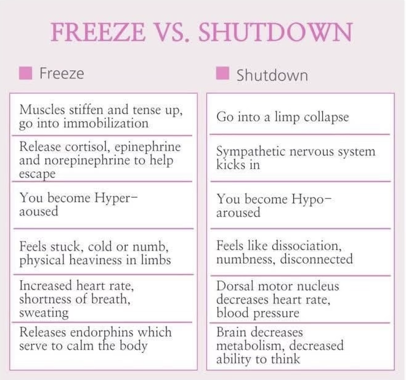 Freeze vs. Shutdown: Understanding the Two Most Misunderstood Trauma ...