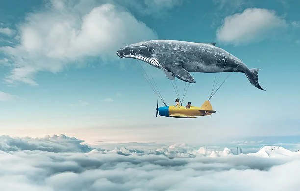 If you keep having the same dream, your nervous system may still be trying to process unresolved trauma, grief, or emotional pain. Dreamspotting helps the brain and body find resolution.