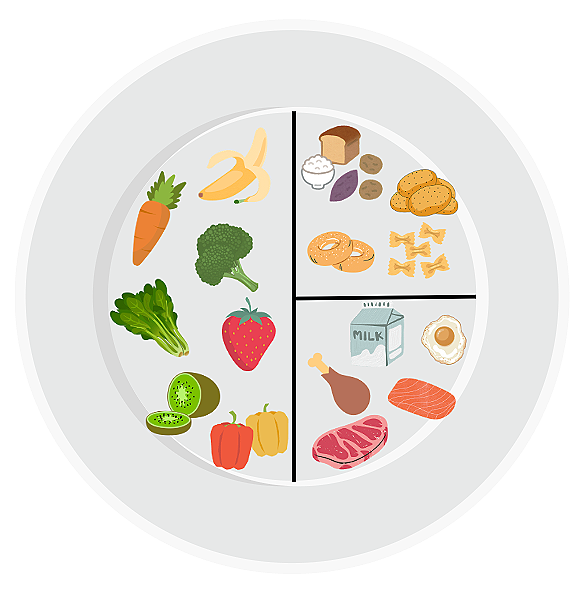 Performance Plates: The Athlete’s Guide to Daily Fueling