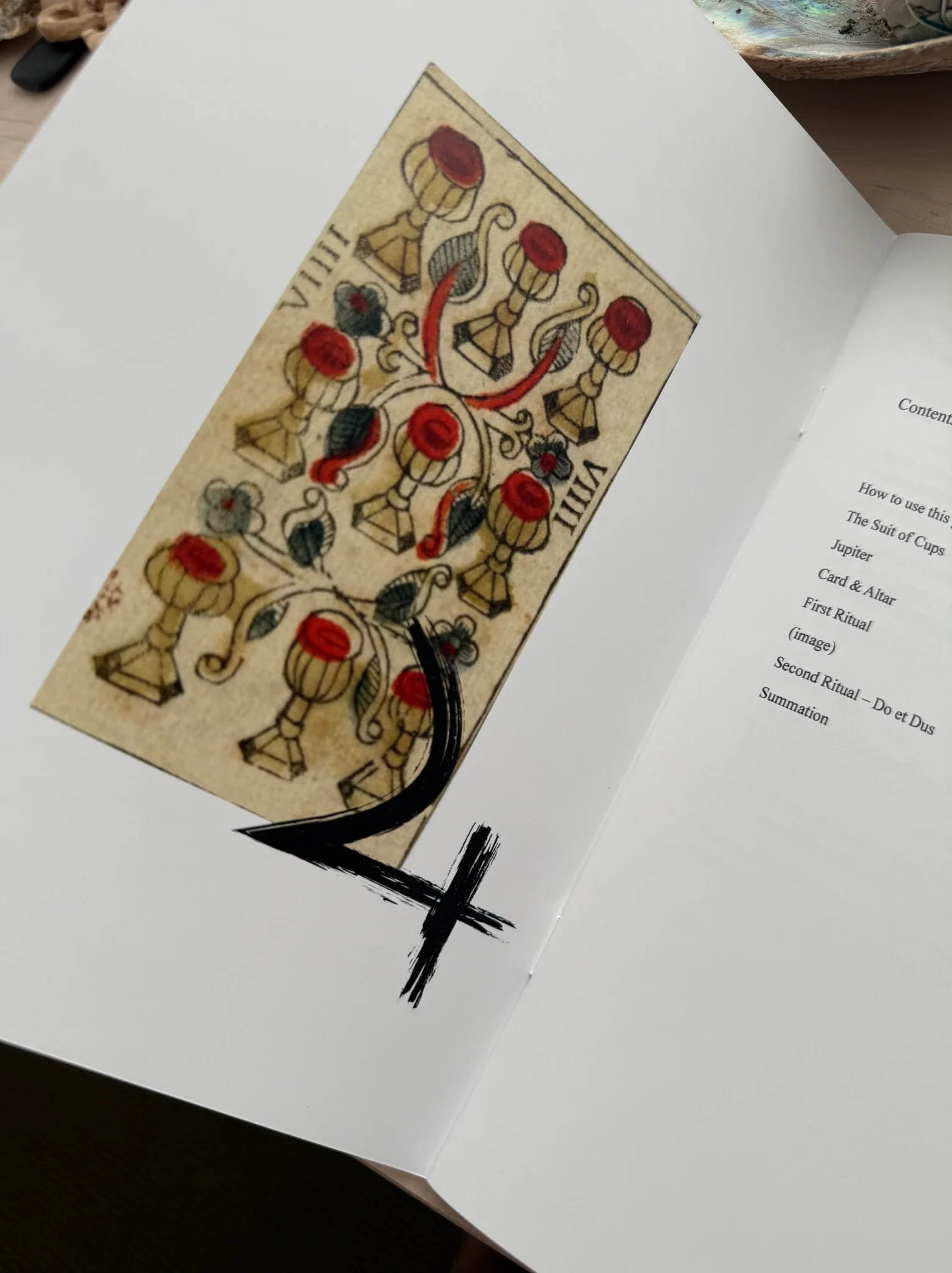 A book open to a page with a depiction of the Nine of Cups tarot card on the left and a list of contents on the right.