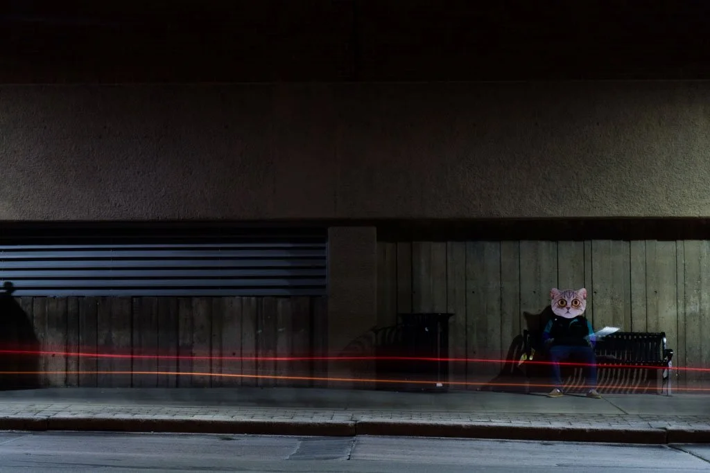 Person sitting on a park bench at night with a cat face mask and a book in hand, illuminated by nearby streetlights, with red light streaks from passing vehicles.