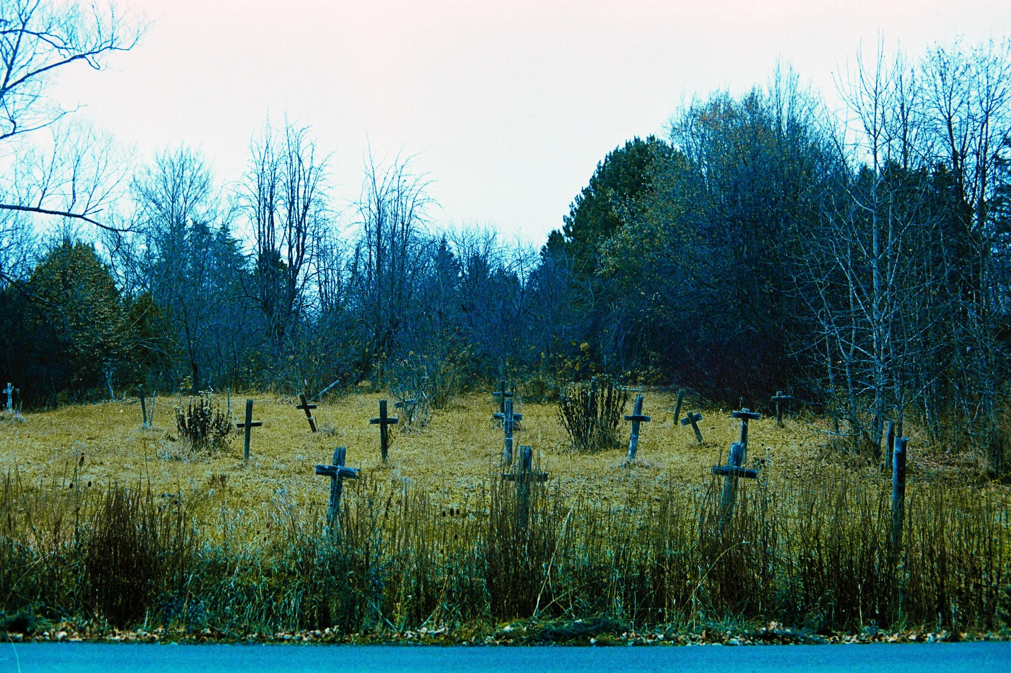 A field with multiple wooden crosses as grave markers, surrounded by leafless trees and bushes, under a cloudy sky.