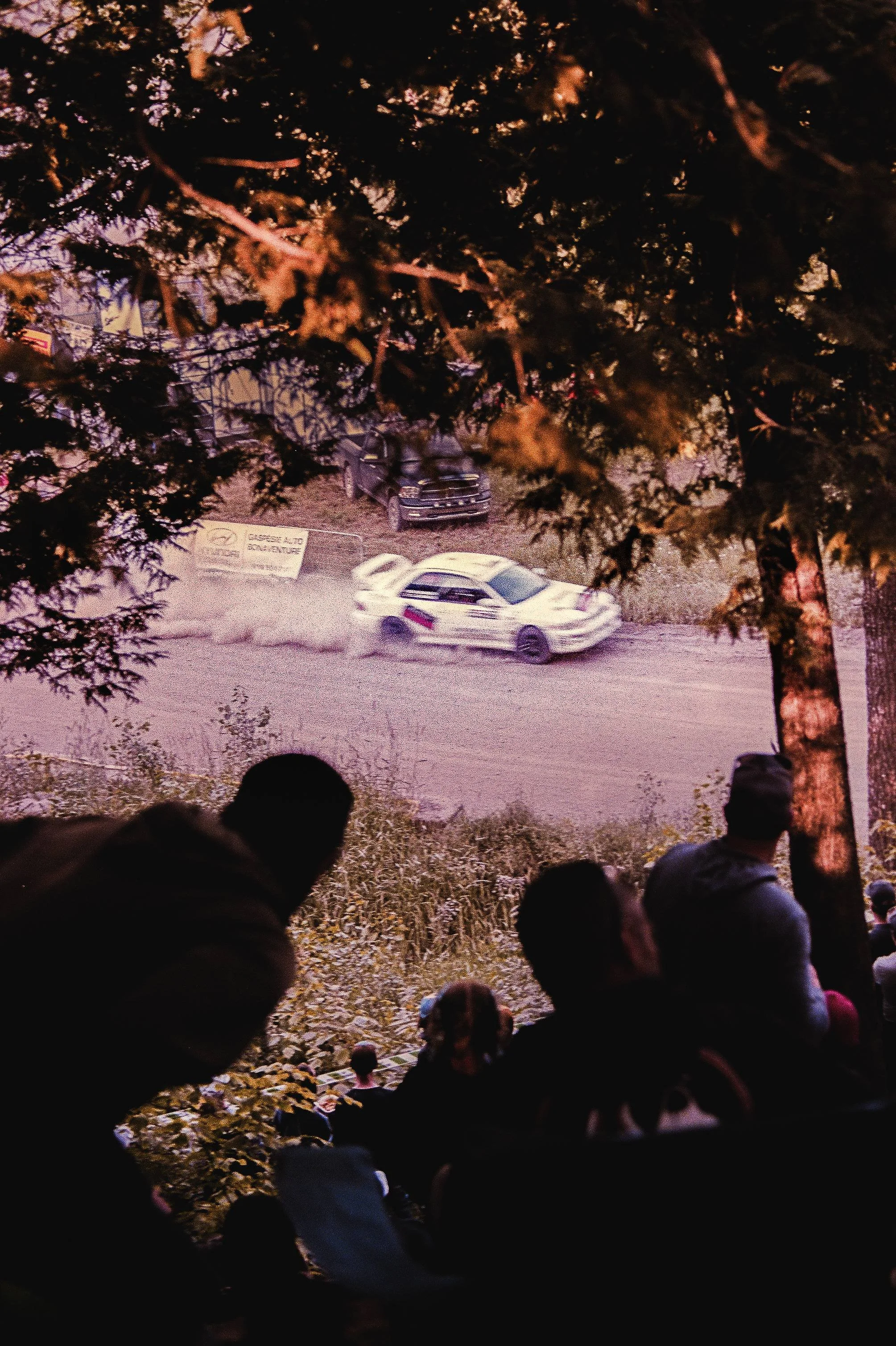 Race cars speeding on a dirt track with spectators watching from behind trees.
